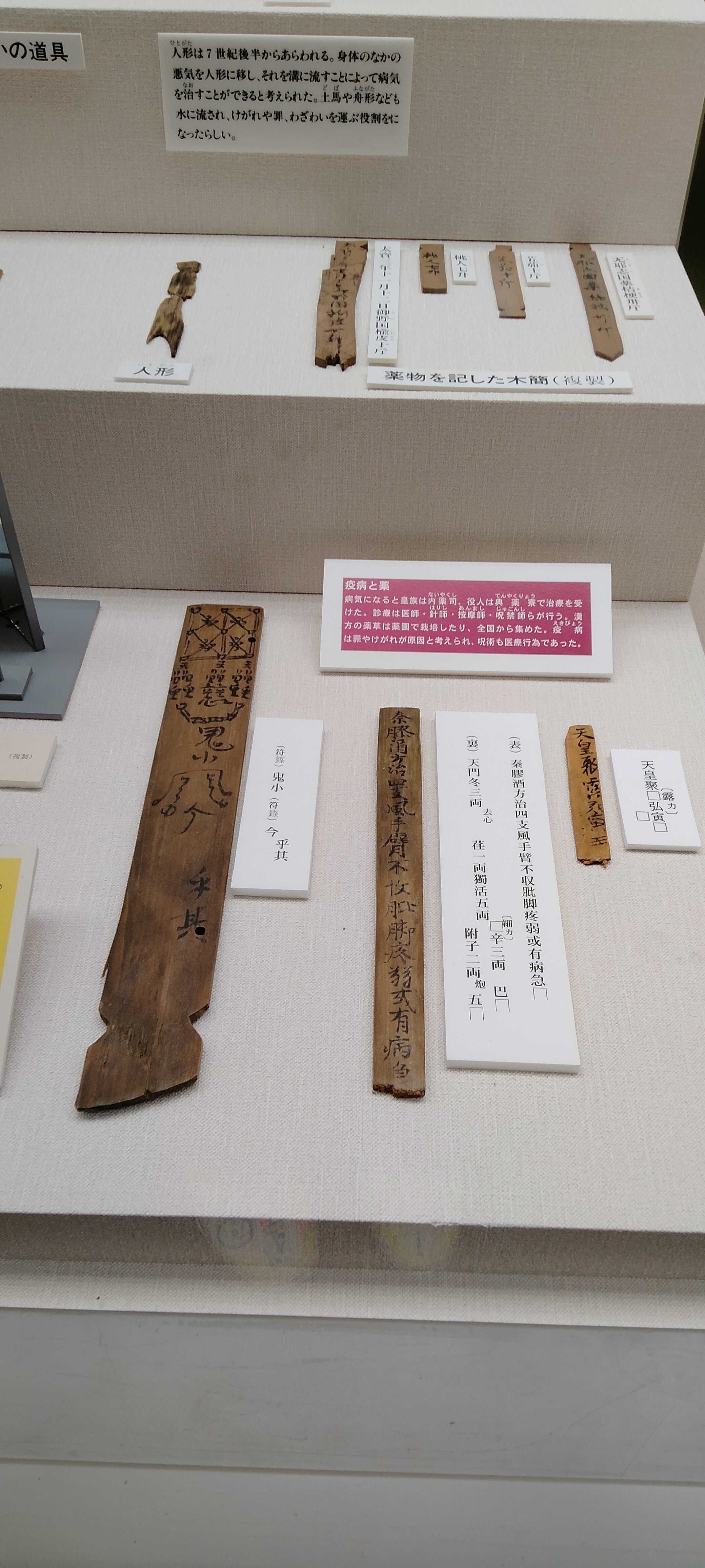 奈良文化財研究所『藤原宮木簡四』　新品未使用 取材旅行】奈良文化財研究所 藤原宮跡資料室｜かづらぎ栄依