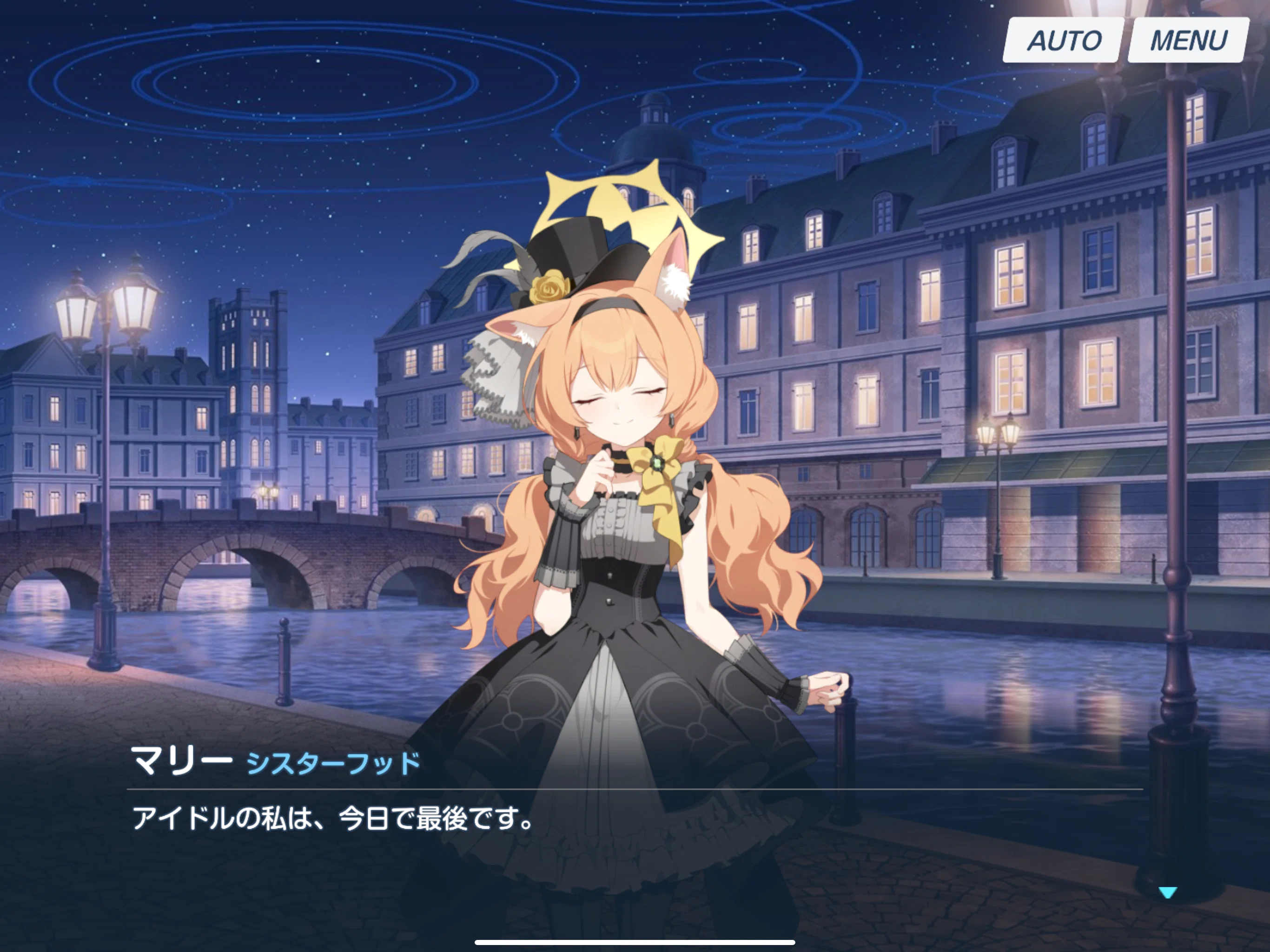 まとめ売り ぽこたん様 リクエスト 2点 まとめ商品
