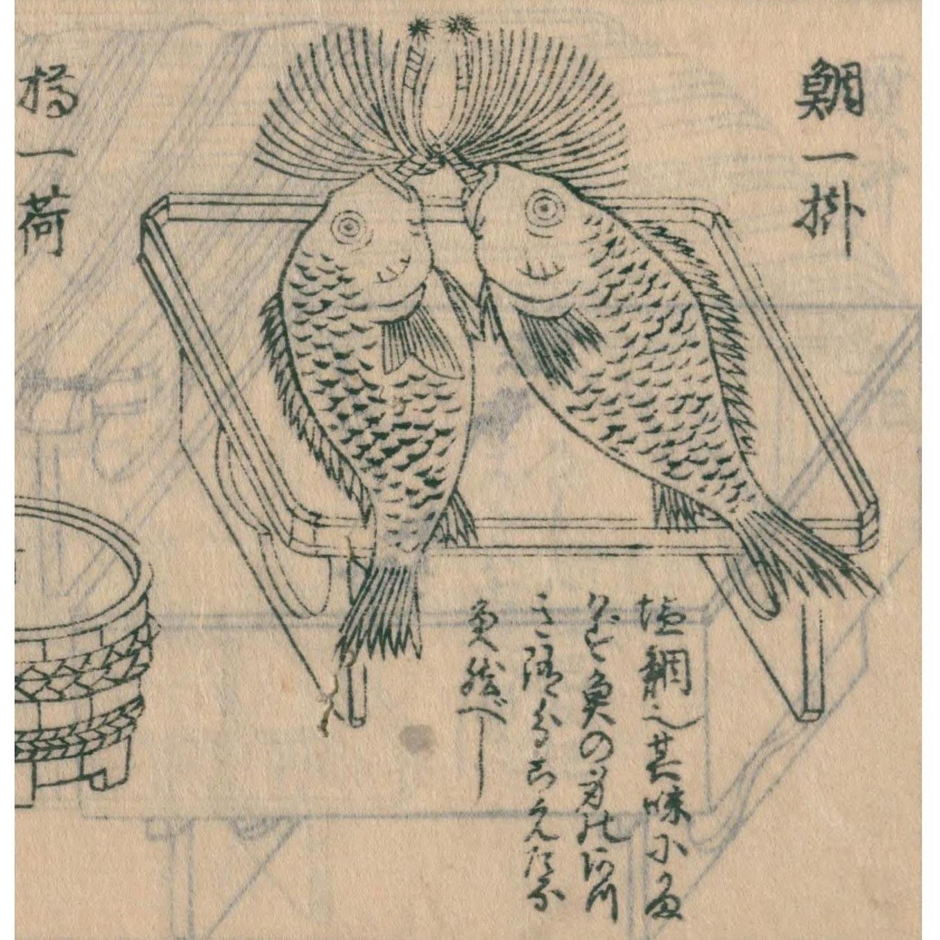 【公式】フジのお歳暮・冬ギフト - WEBカタログ掲載中 鯛の図 ☆展示品 009 （上越スチール販売株式会社のプロフィール） その他