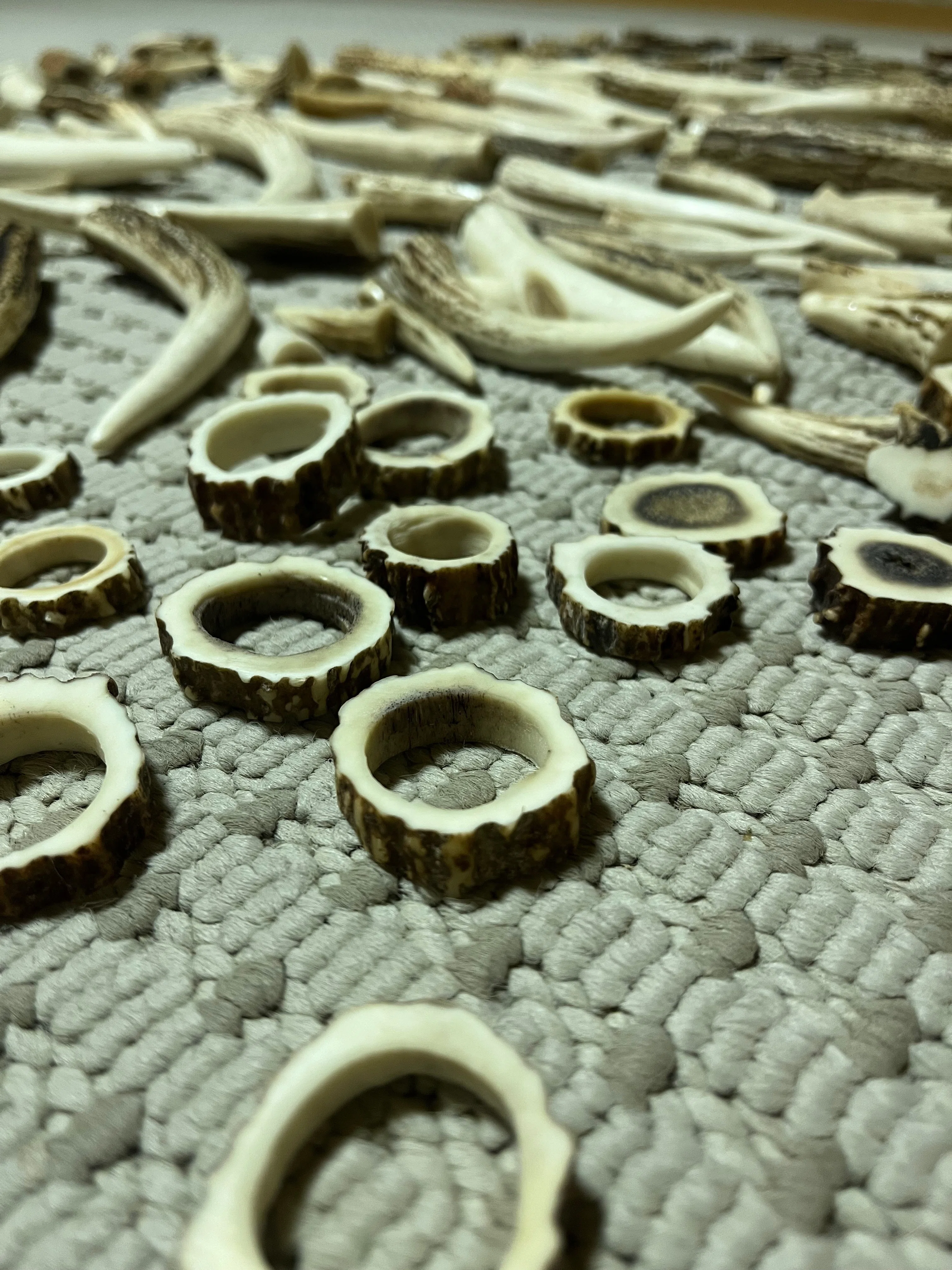 鹿角が鹿角を加工する（その3）｜鹿角時計