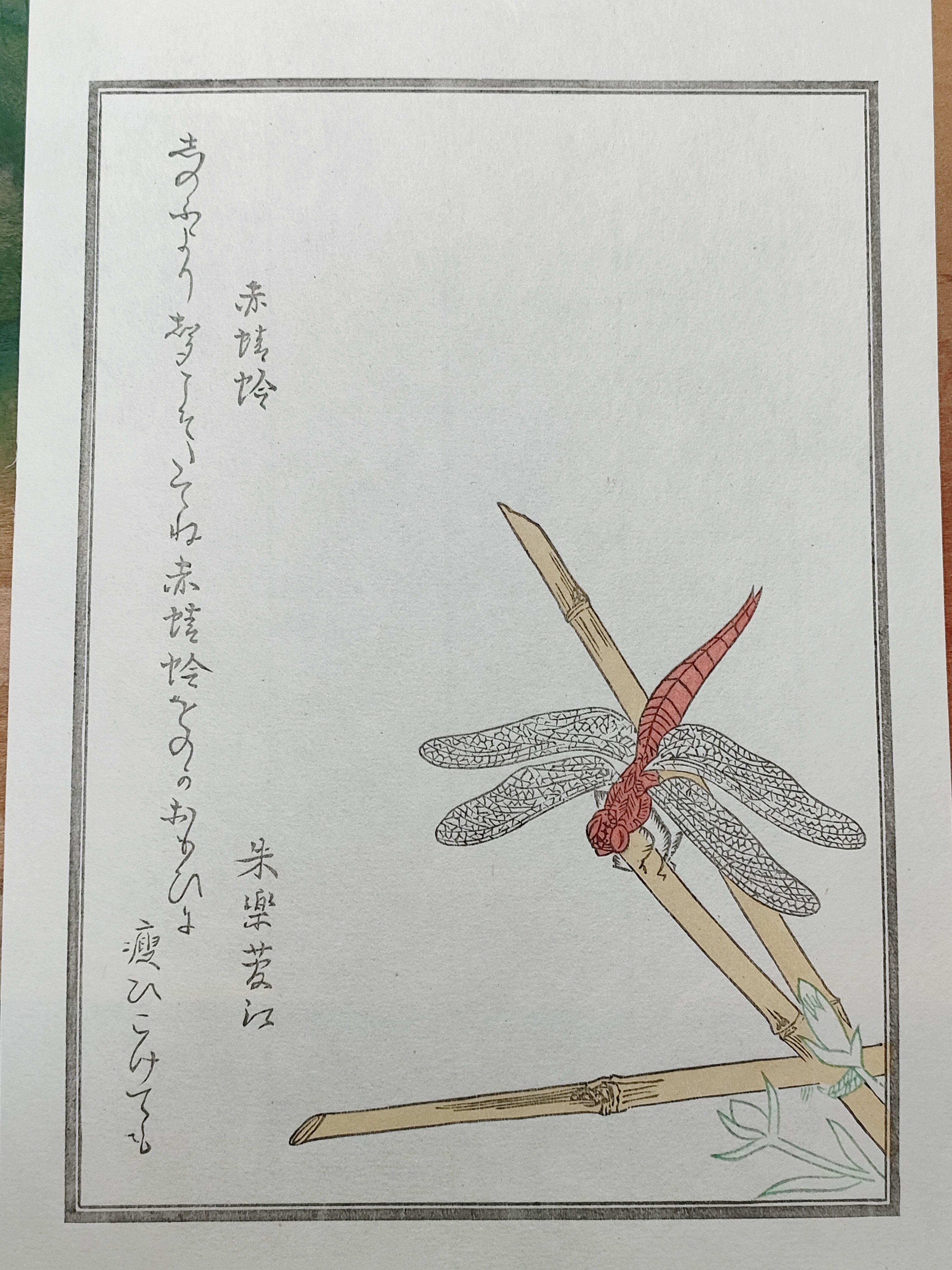ちょこっと木版画の中へ『赤とんぼ』｜康恵のアトリエ