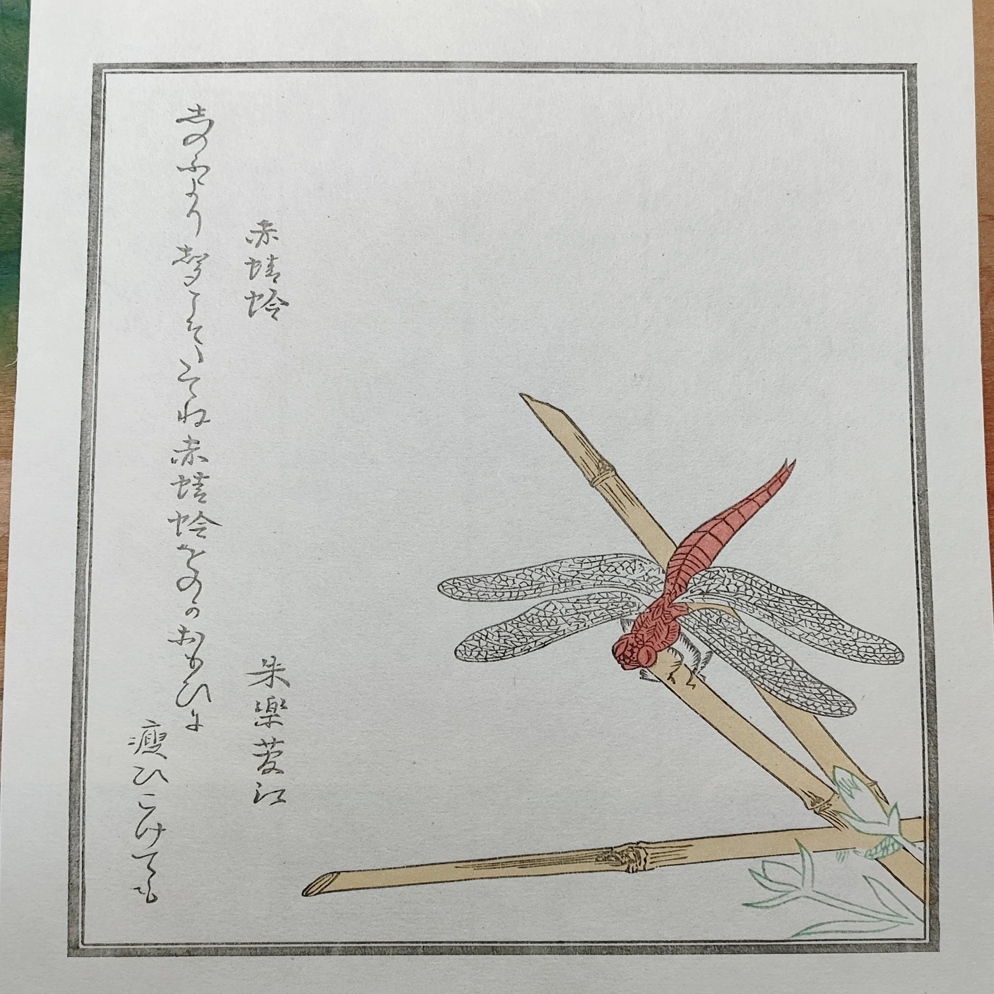ちょこっと木版画の中へ『赤とんぼ』｜康恵のアトリエ