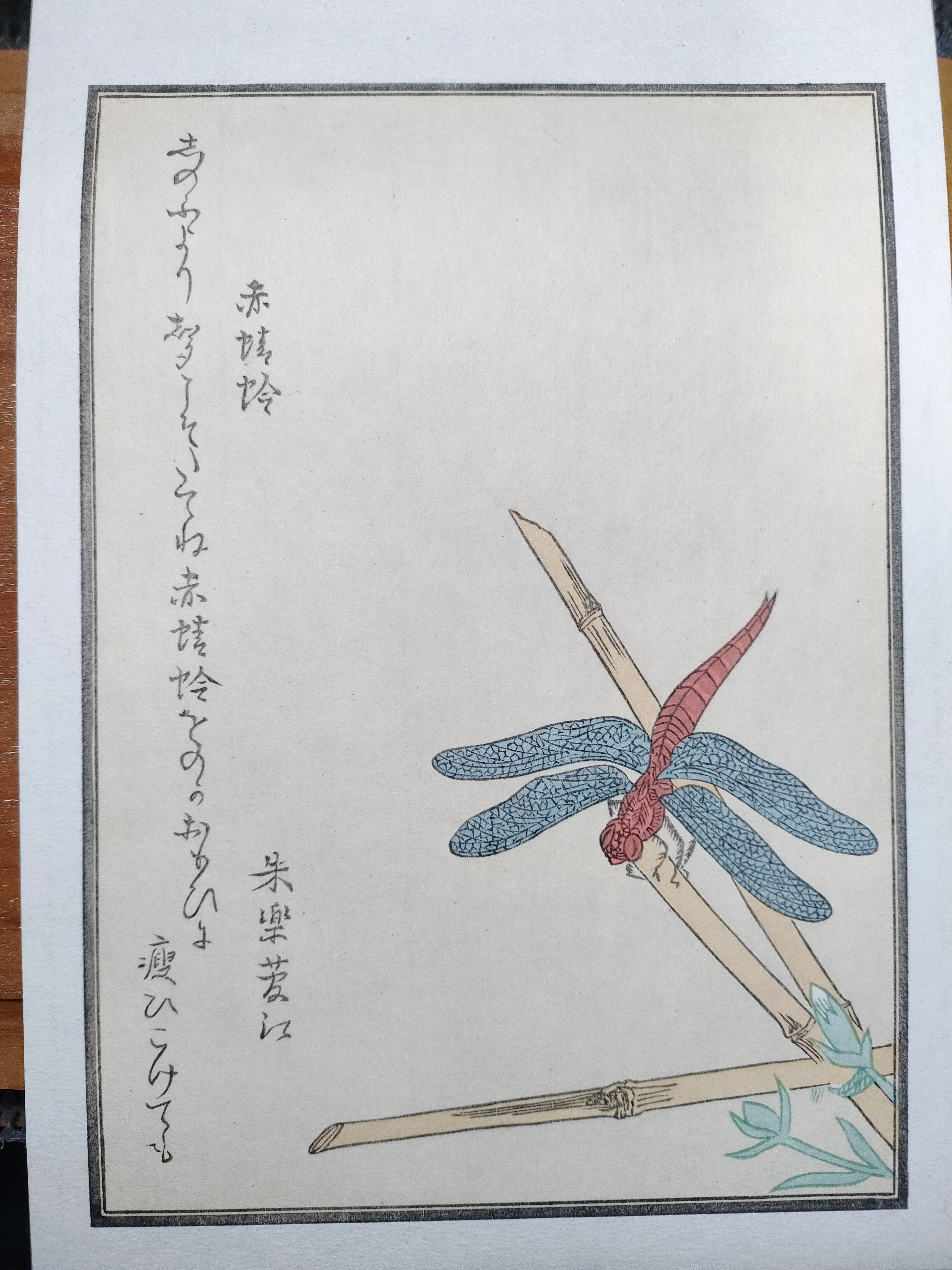 ちょこっと木版画の中へ『赤とんぼ』｜康恵のアトリエ