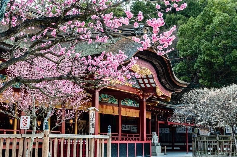 飛梅伝説」と菅原道真公 ～東風吹かば の歌に込めた想い～｜小野照崎神社