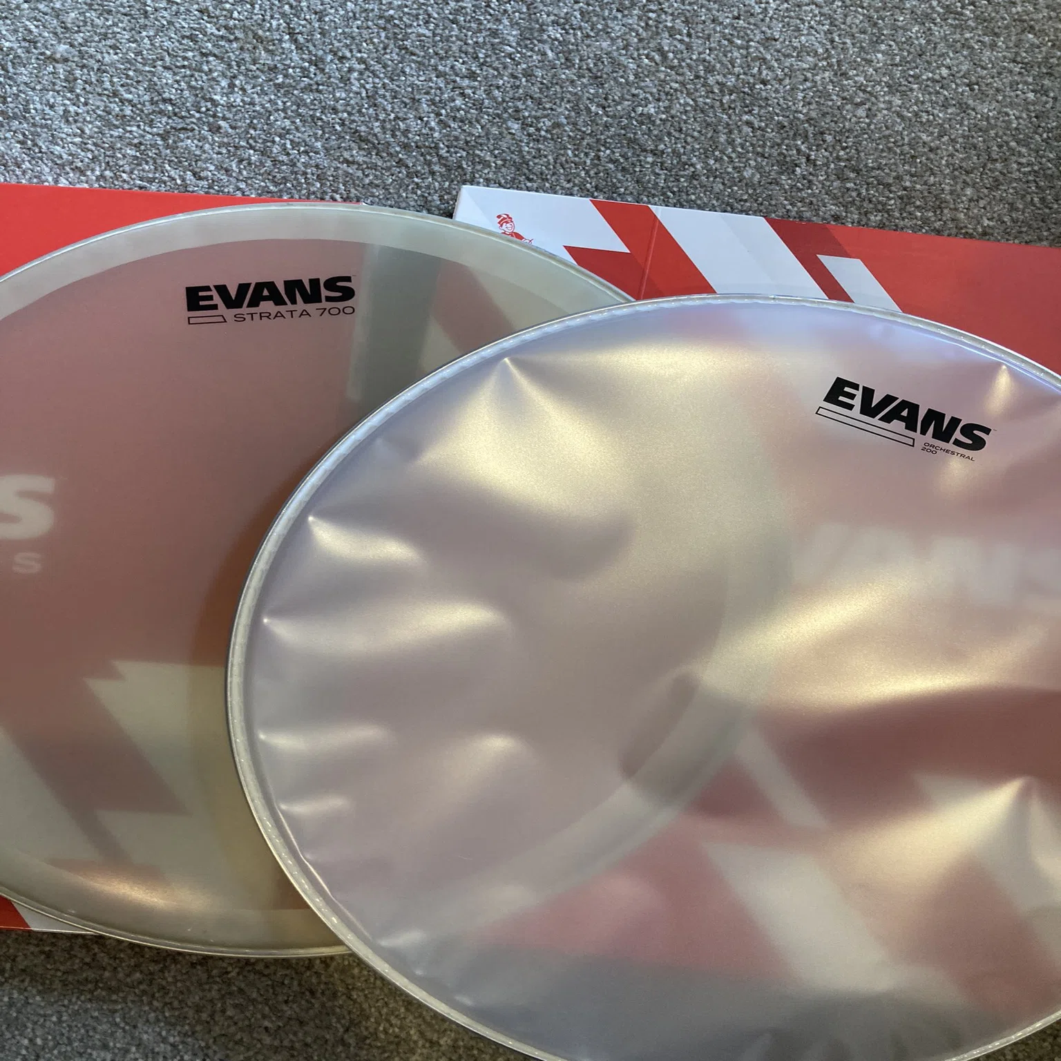打楽器　本皮　ティンパニ　スネア　カーフクリア　牛皮　ヘッド　ドラム 皮！皮！皮！｜N. Segawa