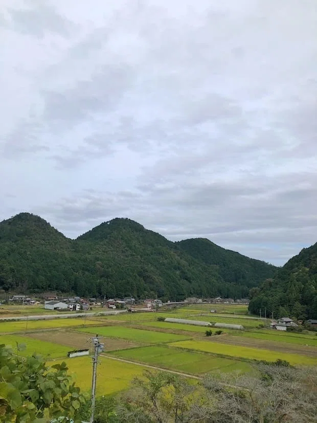 温泉 日帰り温泉