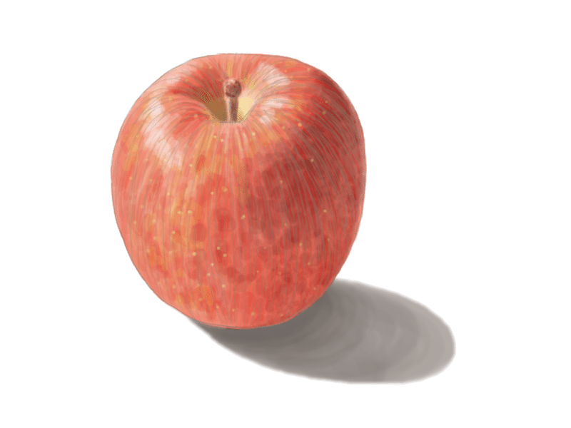 スケッチ111日目「りんご」｜㌰㌿