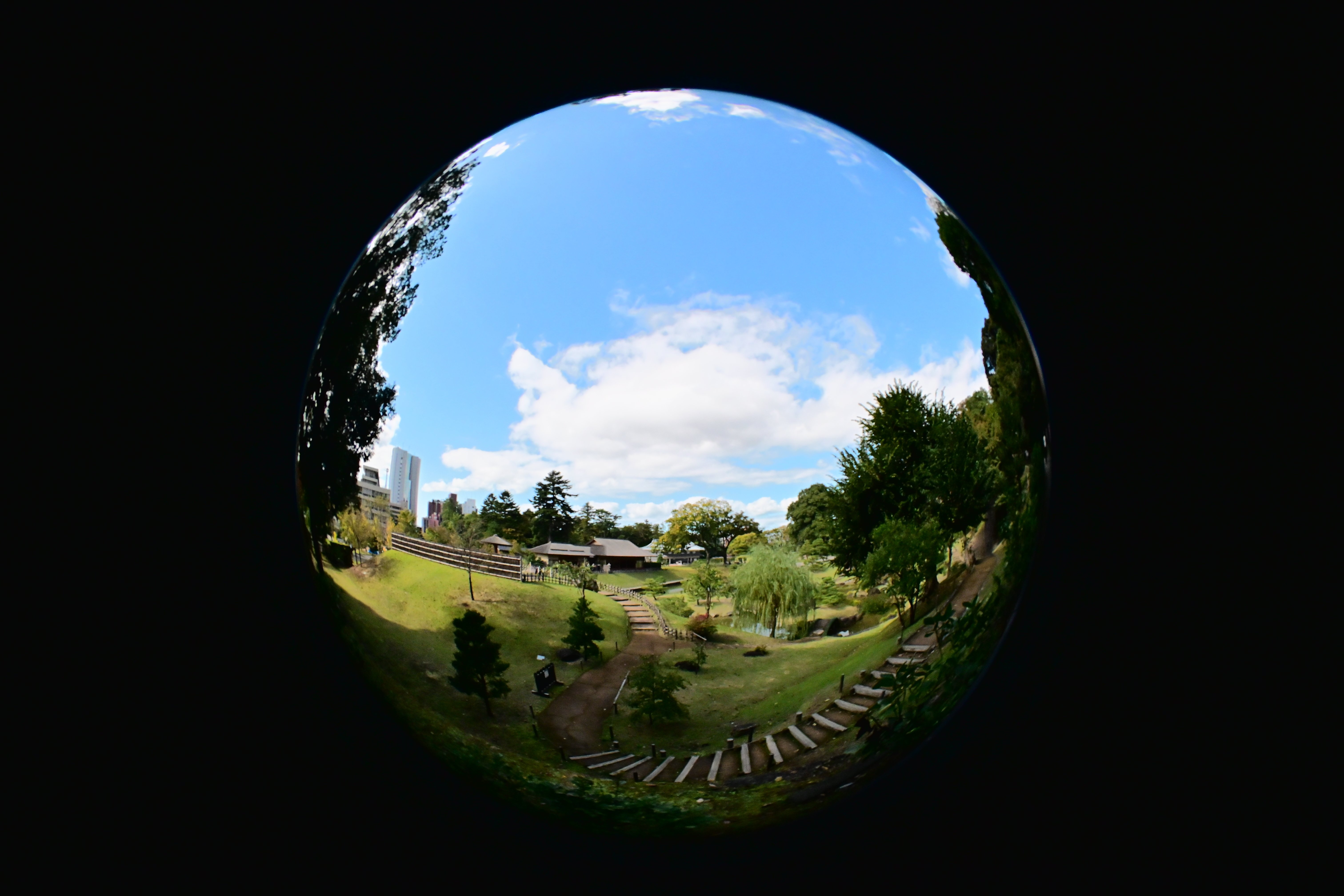 レンズ沼の歩き方」OP Fisheye-NIKKOR 10mm F5.6｜saphirinus
