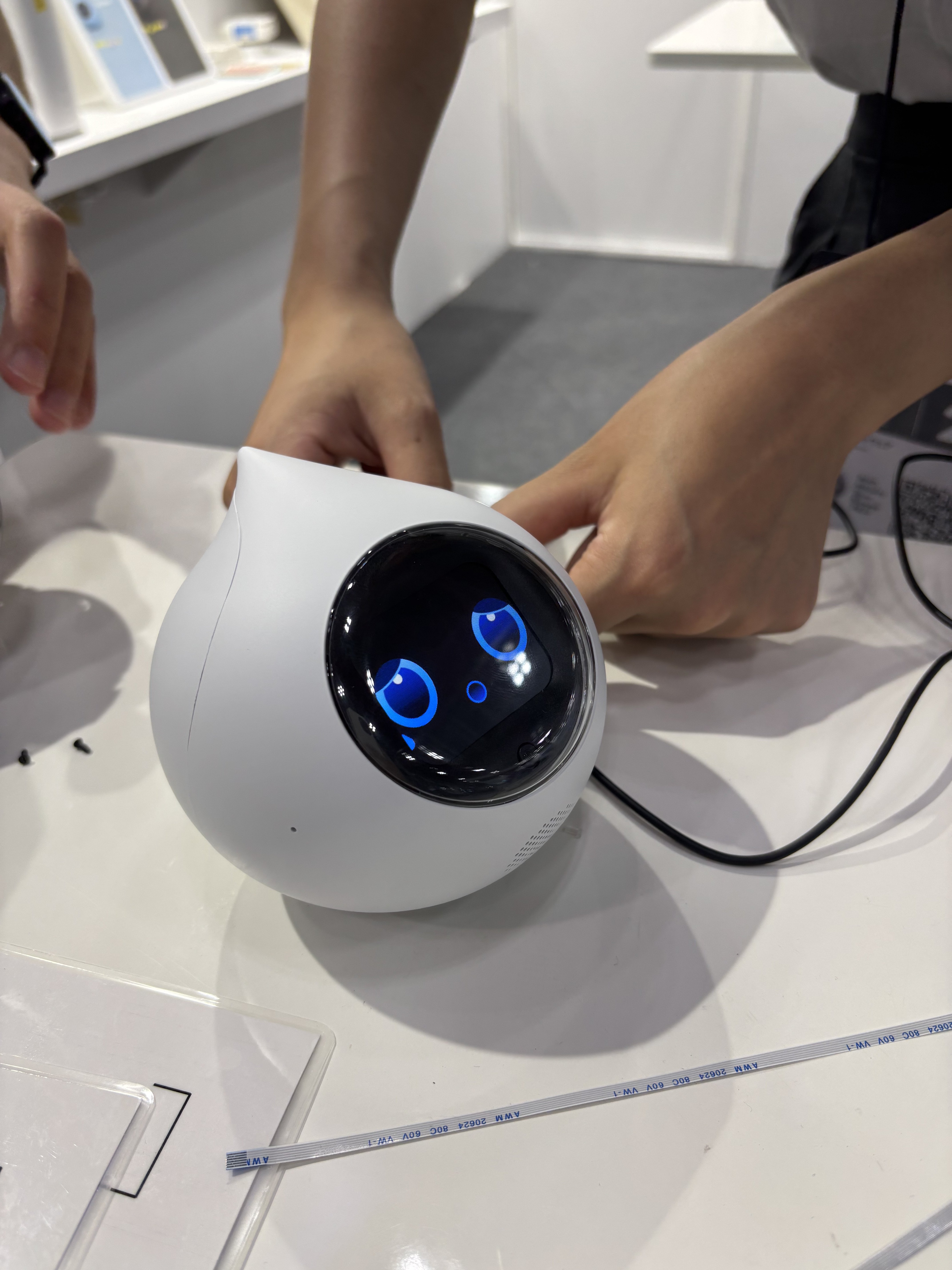 Romi ROMI-L01 ラカタンモデル イベントレポート】CEATEC 2024でRomi Lacatanモデルをお披露目