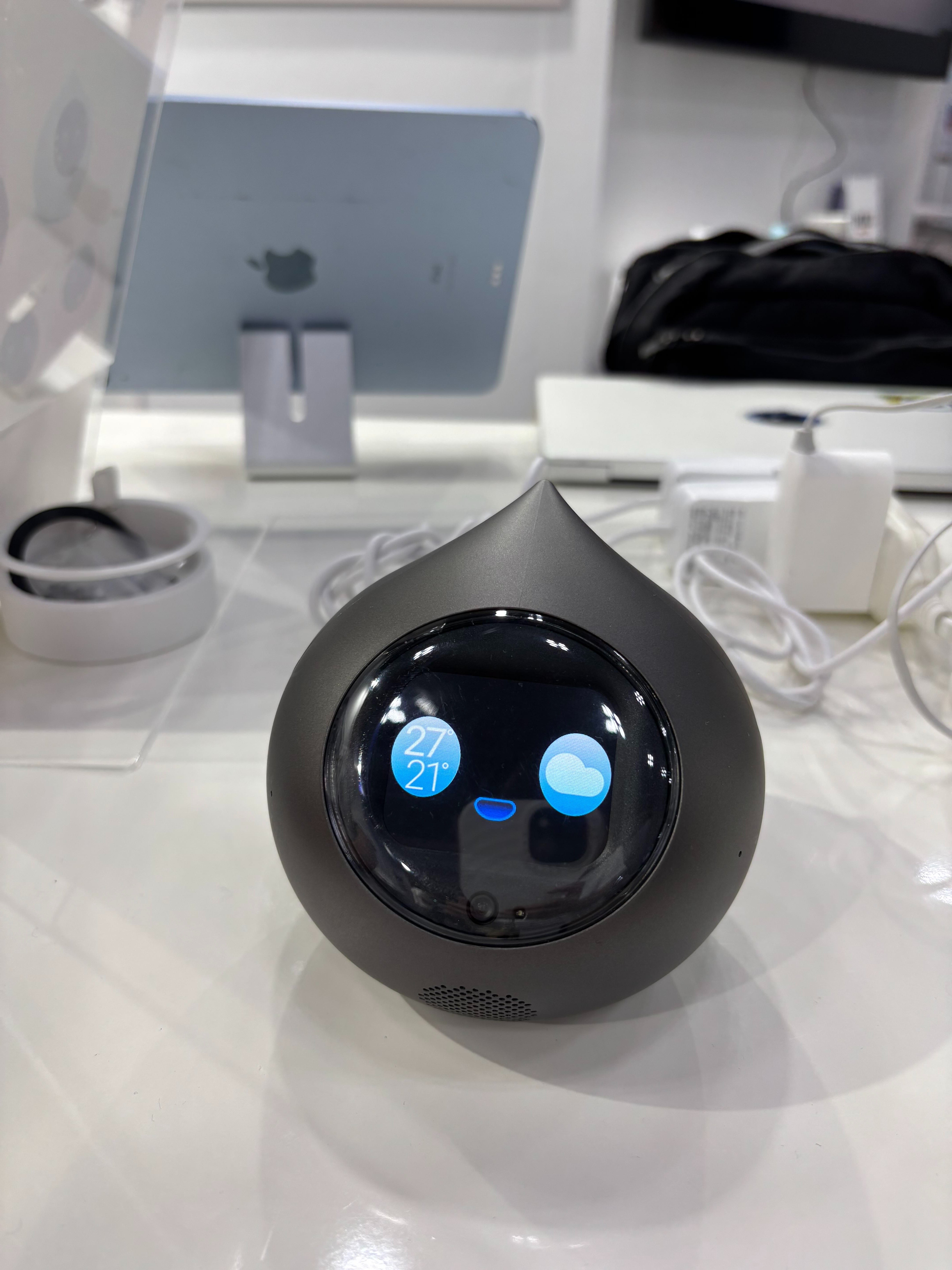 Romi ROMI-L01 ラカタンモデル 会話AIロボットRomi（Lacatanモデル）予約受付中！｜会話AI