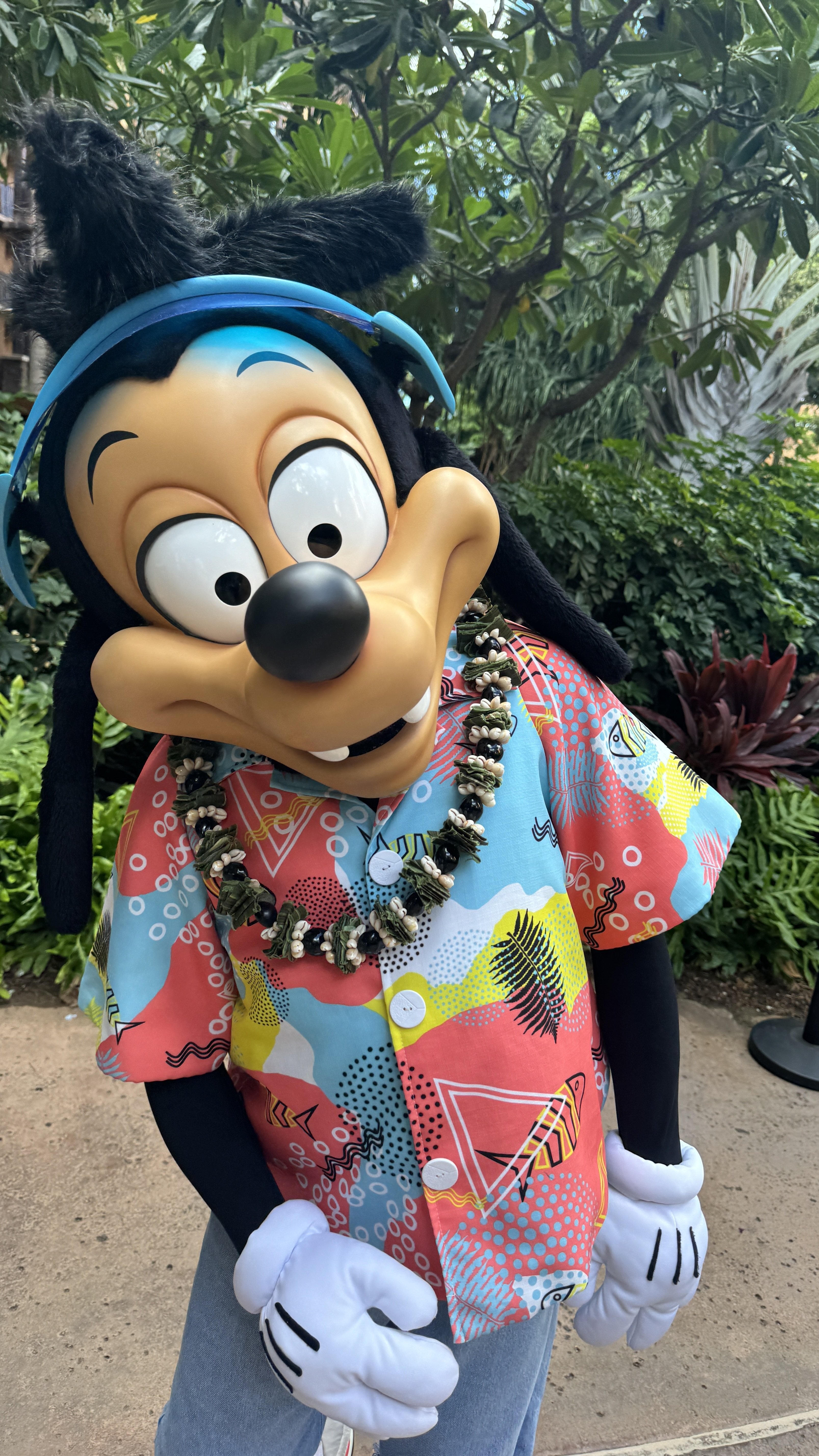 2024 「アウラニ」DVC”8つ”の特典！｜luu