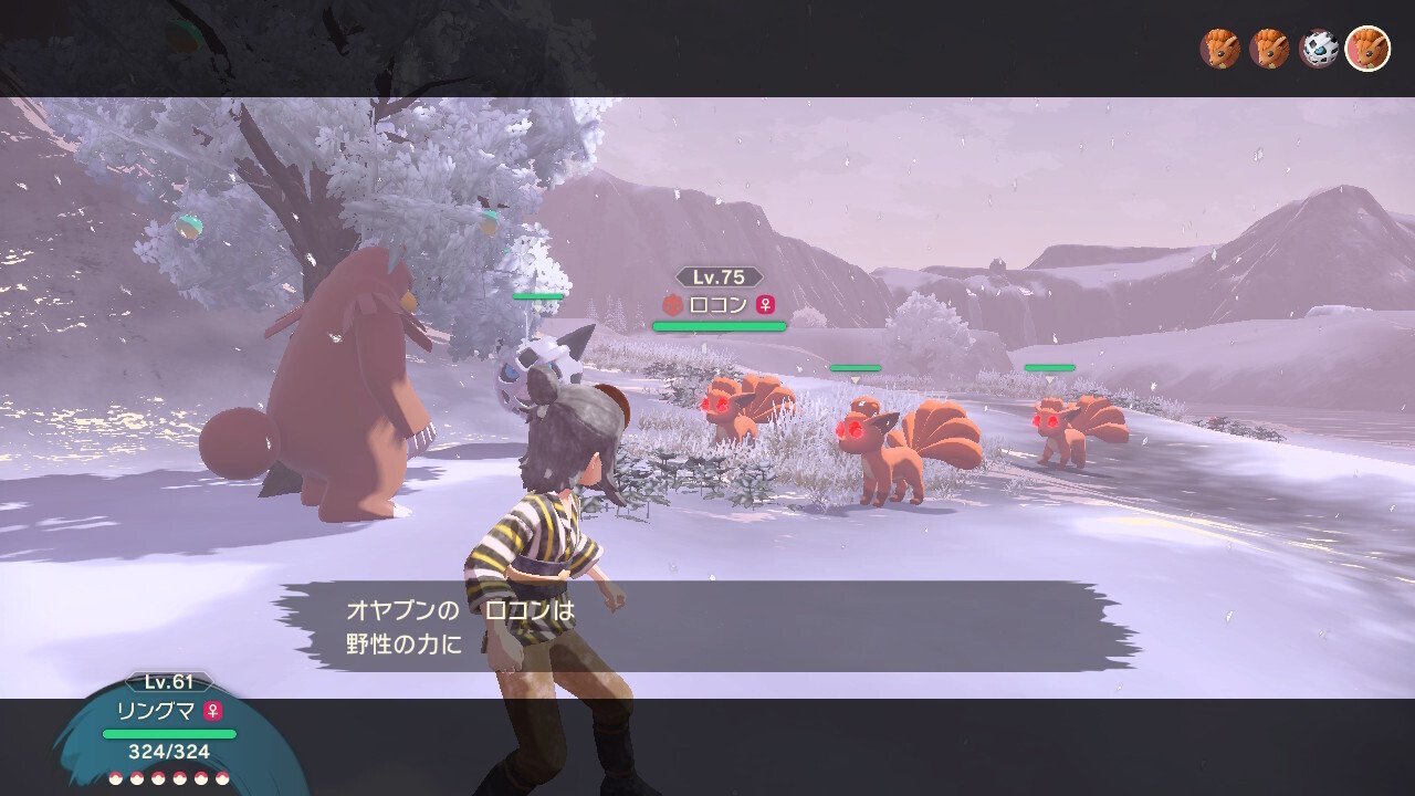 【楽天スーパーセール】 アルセウス】オヤブンを疲れさせる 〜図鑑タスクコンプ旅｜雑穀米 Nintendo Switch