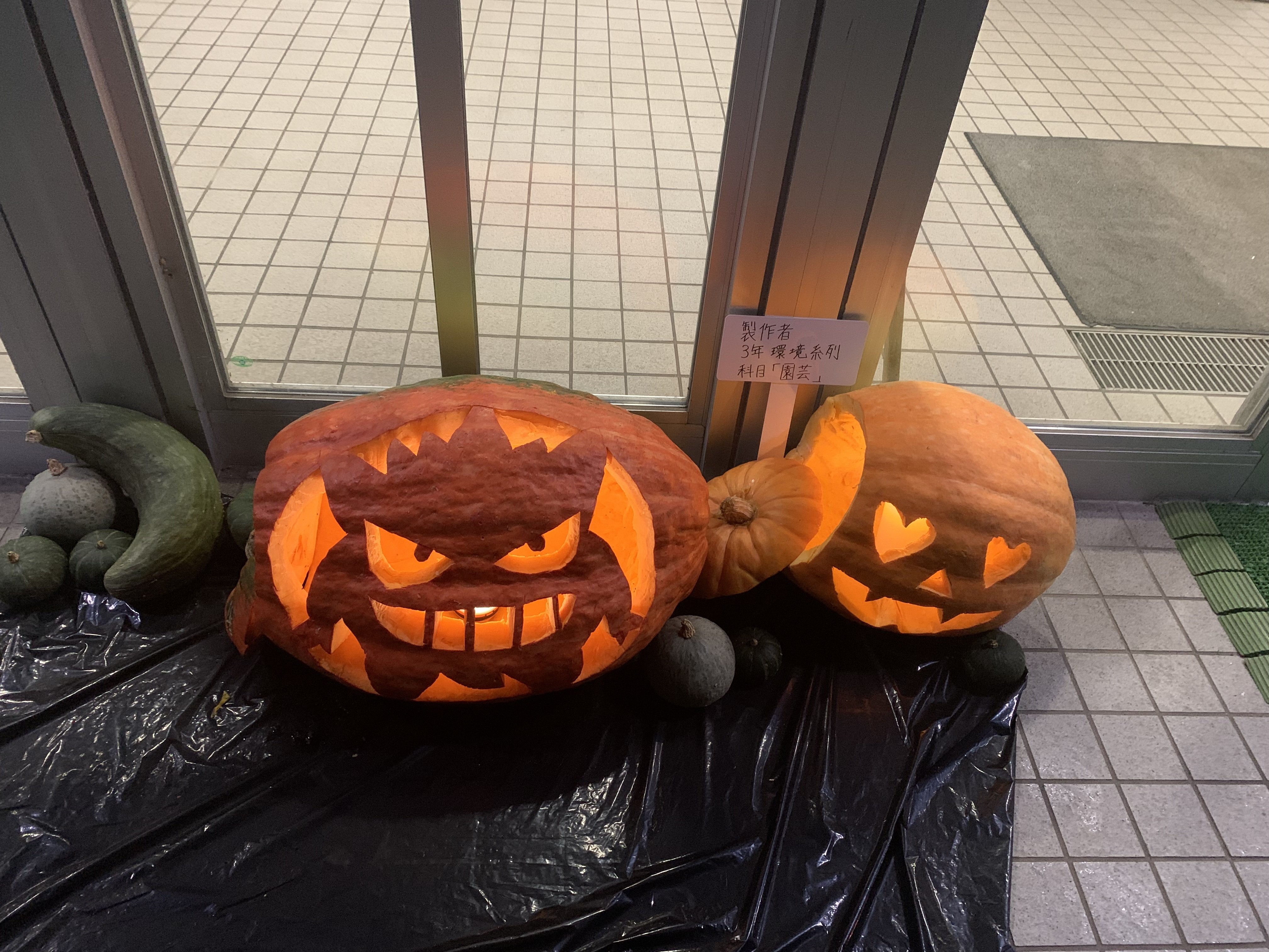 180_ハロウィン with 農場産カボチャ｜岩手県立一関第二高等学校