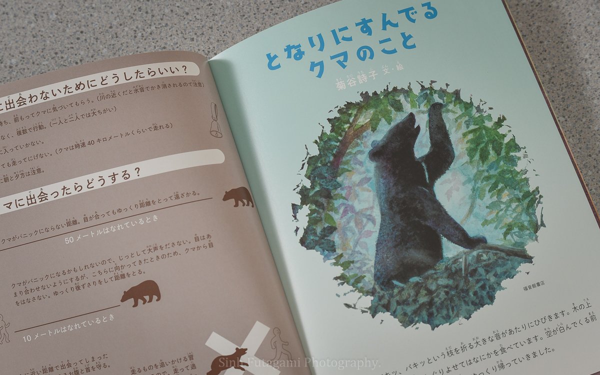クマの本】たくさんのふしぎ - となりにすんでる クマのこと｜Sinh