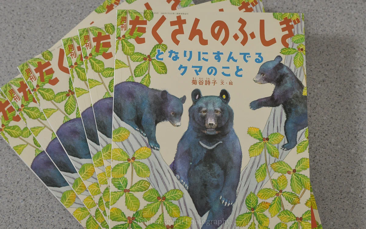 クマの本】たくさんのふしぎ - となりにすんでる クマのこと｜Sinh