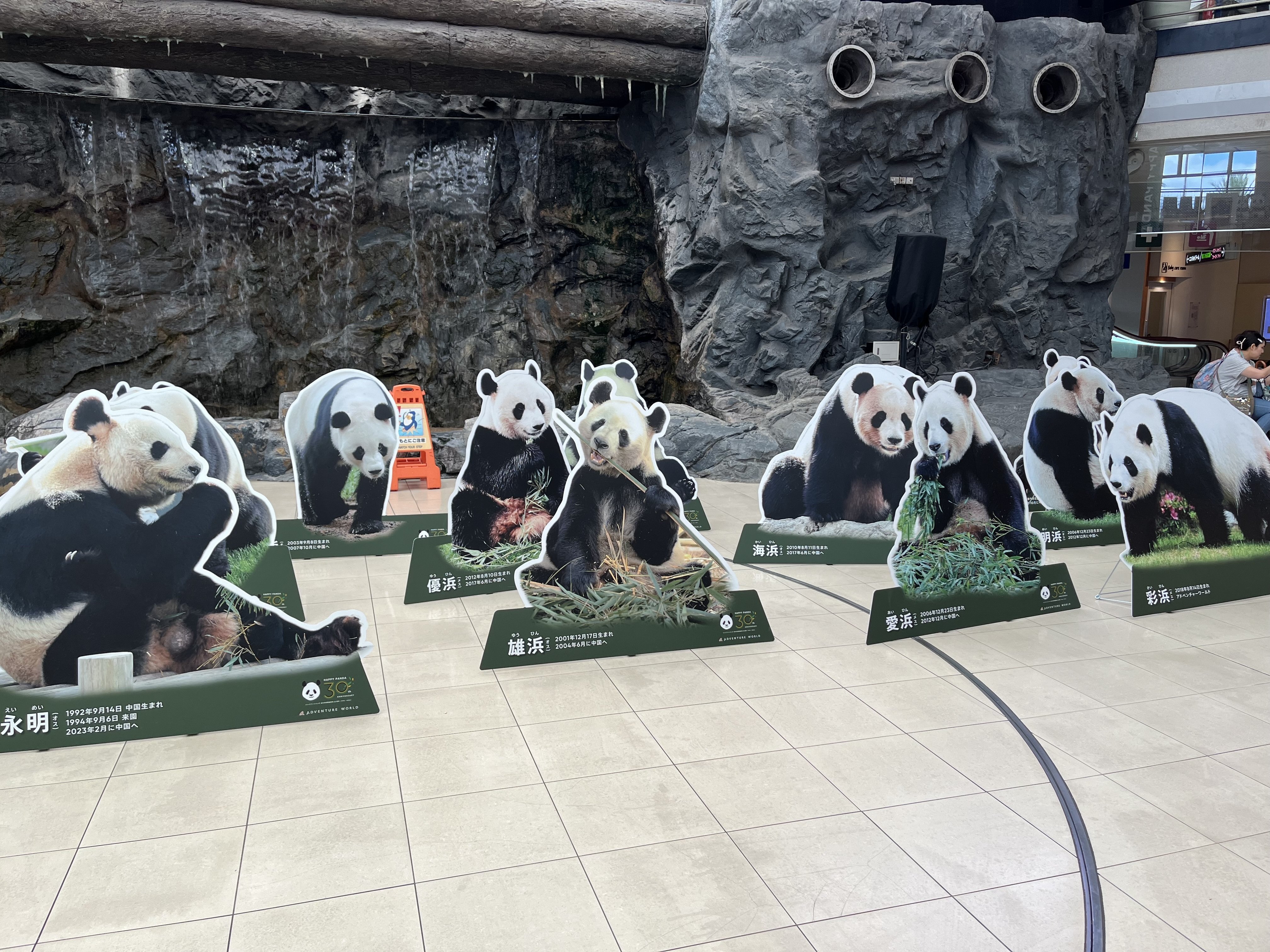 感謝DAY②｜柚子