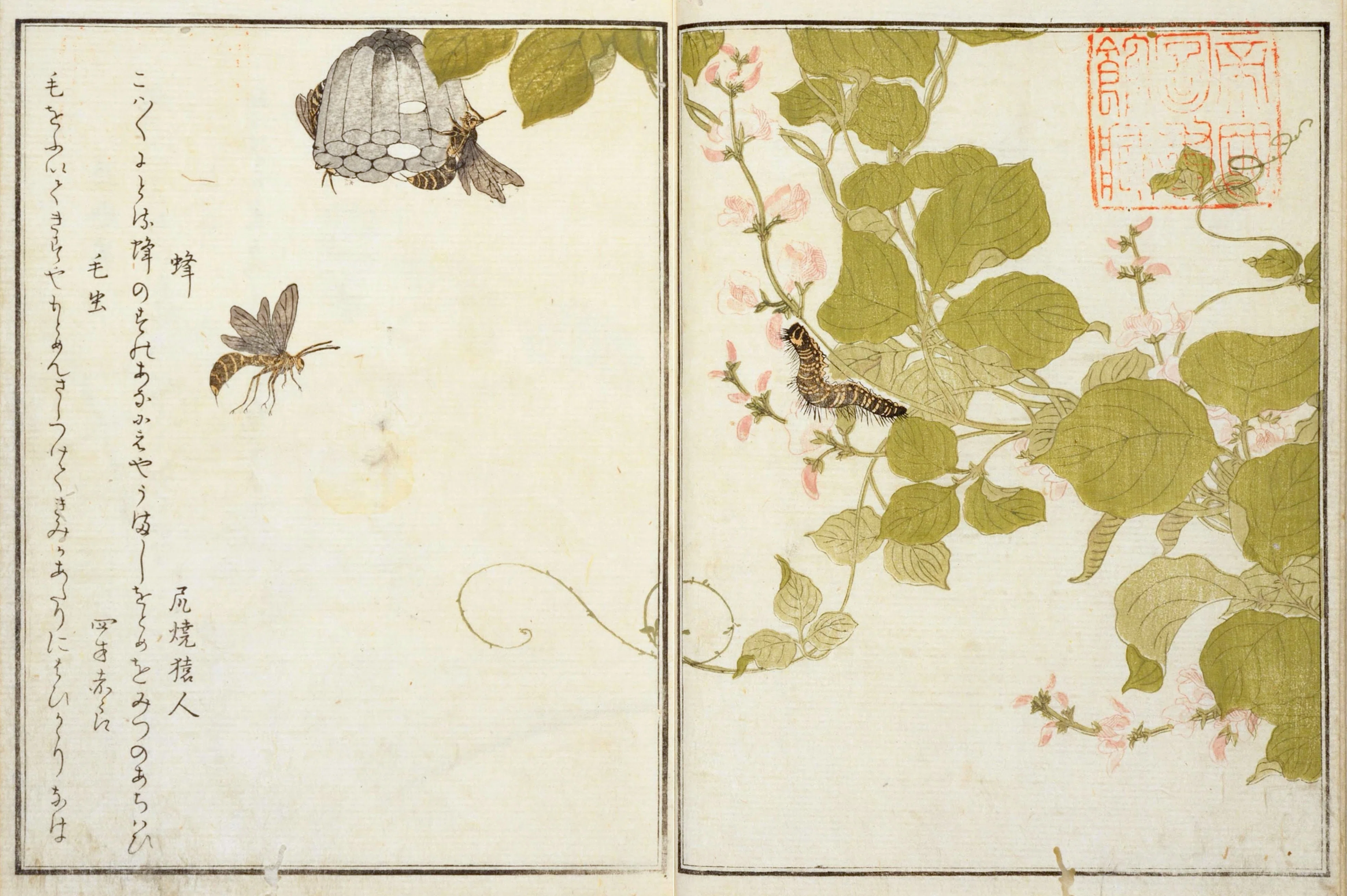蔦屋重三郎と喜多川歌麿のタッグが生んだ『画本虫ゑらみ』……国立国会