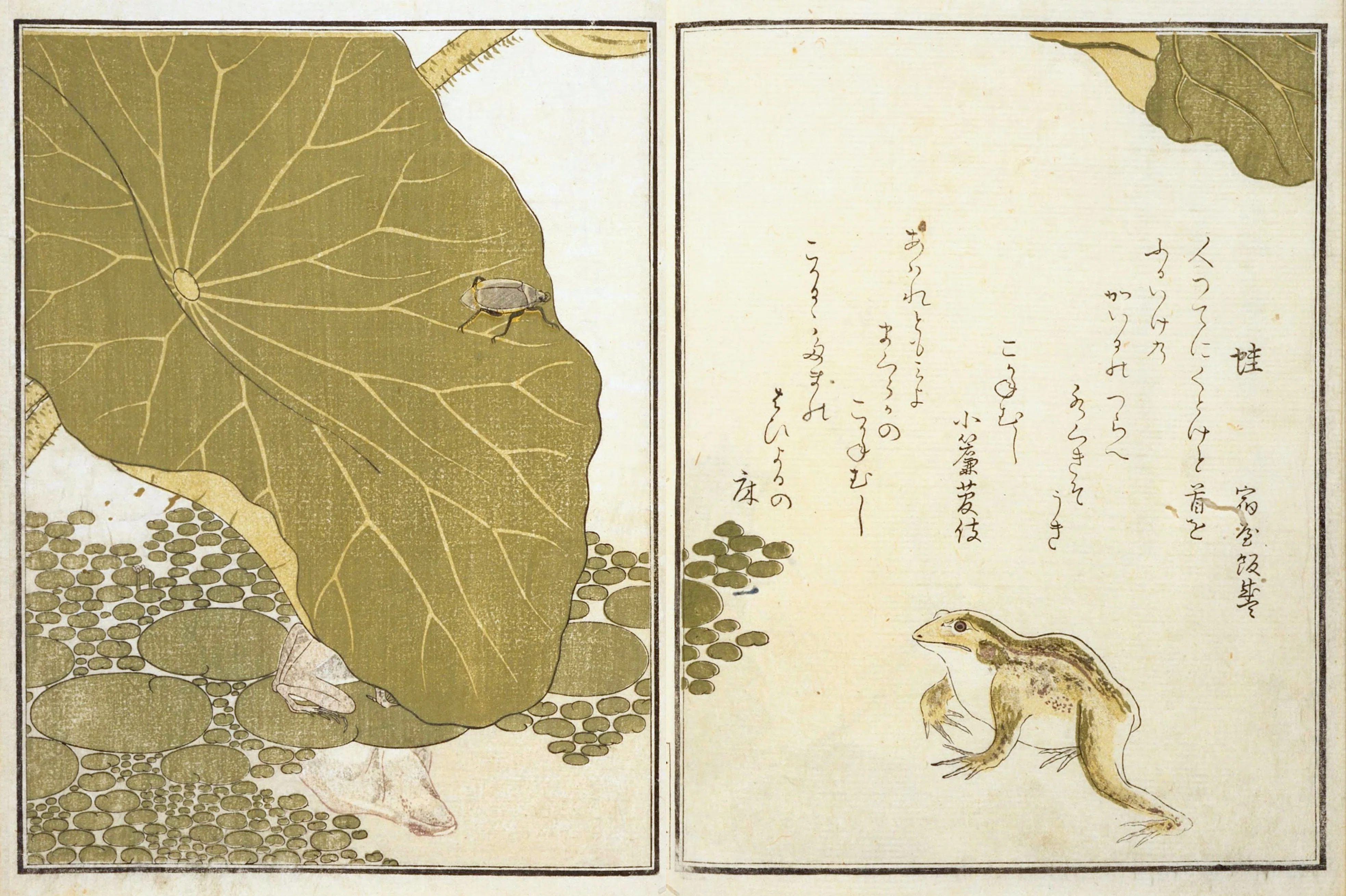 蔦屋重三郎と喜多川歌麿のタッグが生んだ『画本虫ゑらみ』……国立国会