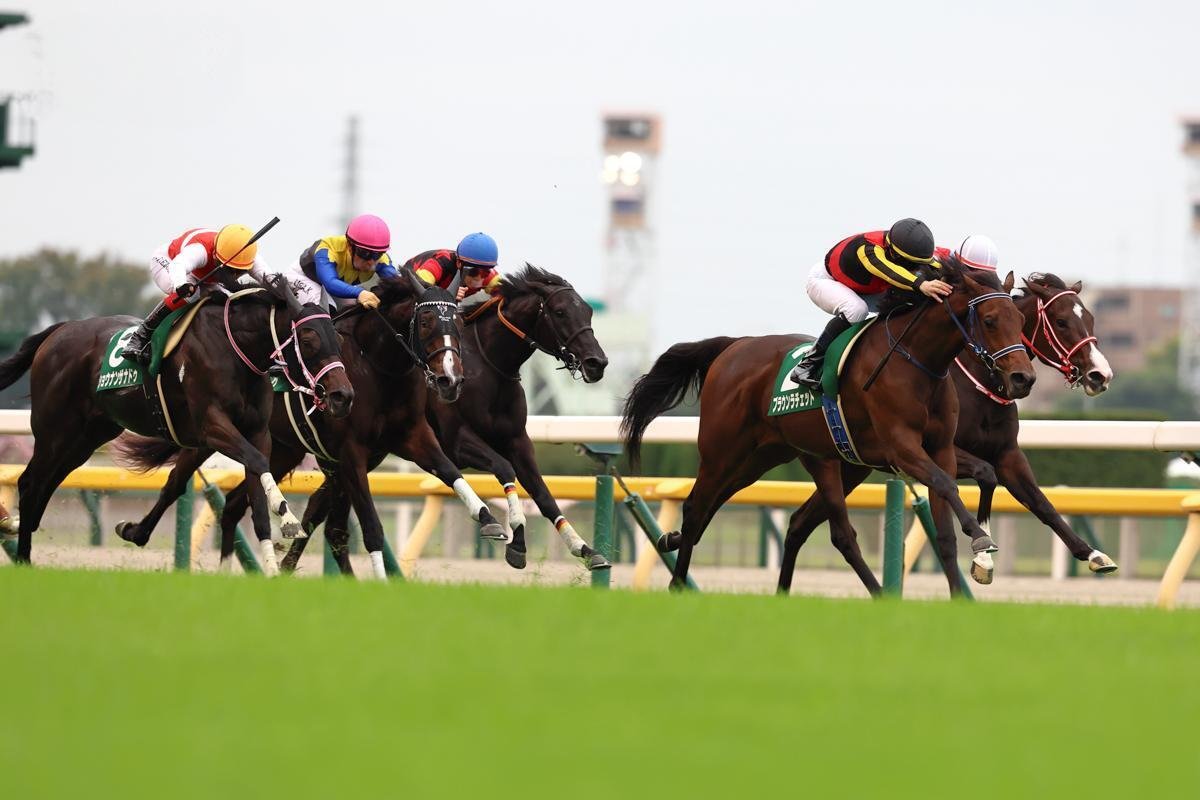 アルテミスS（GⅢ）回顧】推奨馬マピュース7着～何処??｜Haya