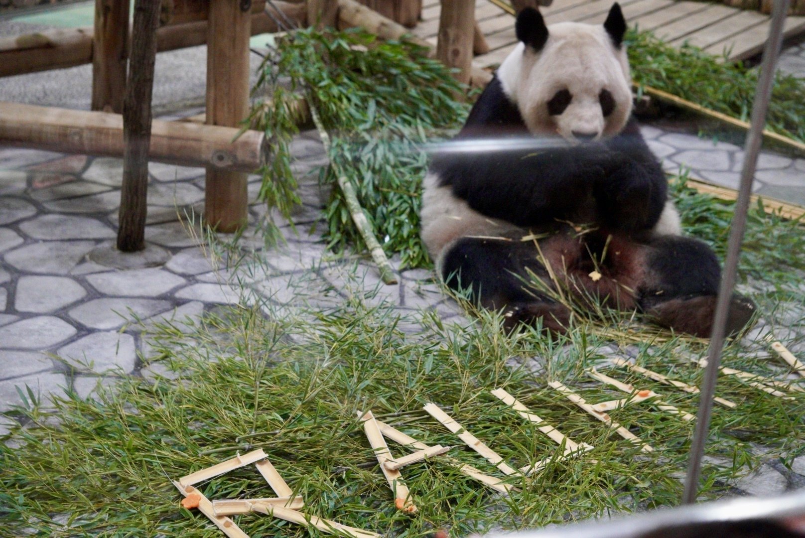 感謝DAY②｜柚子