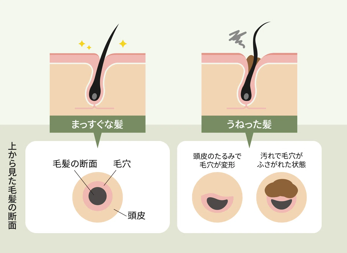 Lathering Effect Image Leading to Beautiful Hair!