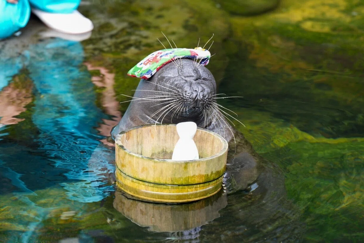 レポ#69 箱根園水族館｜haru