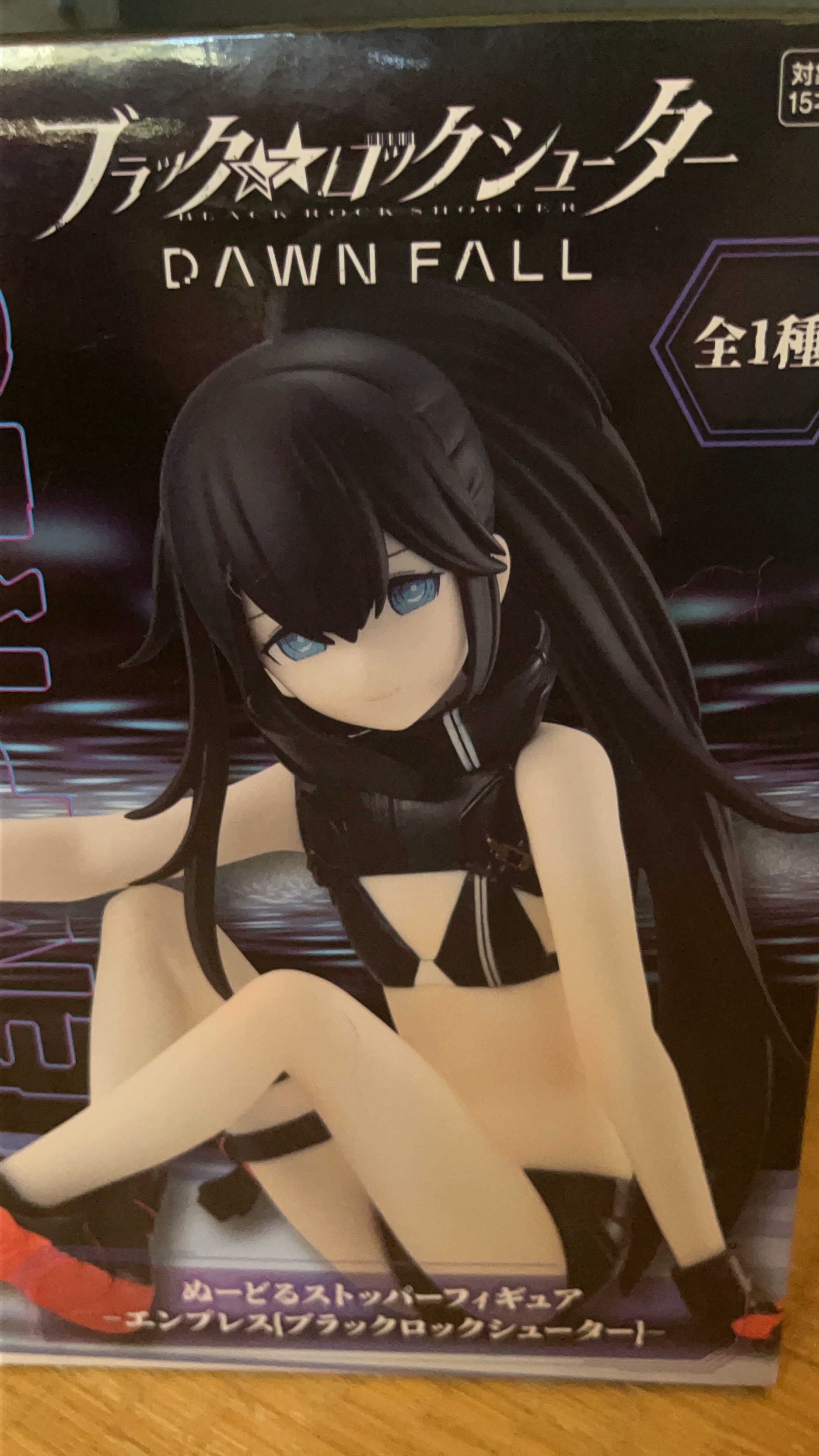 1年間放置していたフィギュアを開封する｜黒猫ベル