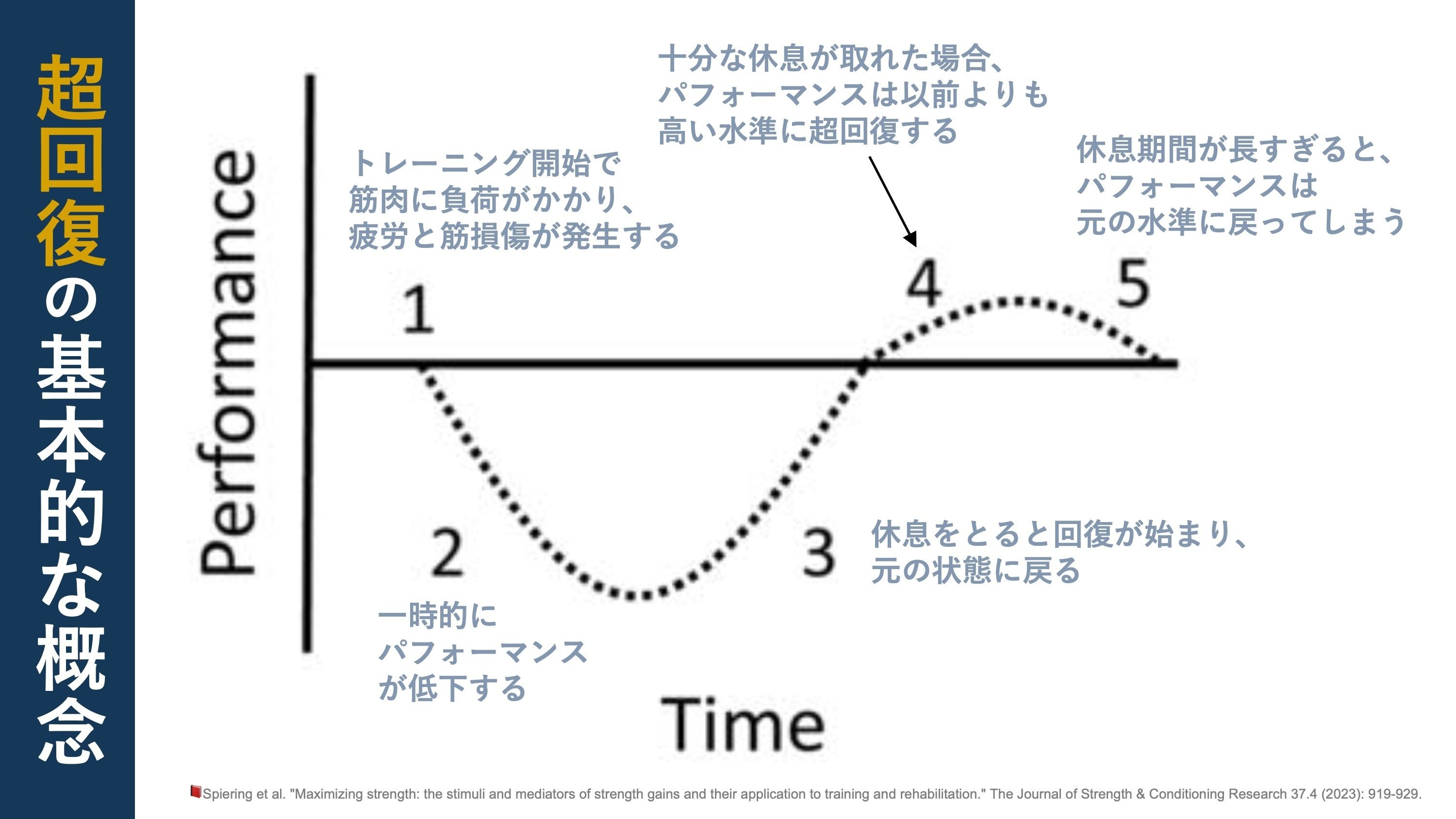 筋力トレーニング。伝統的理論から最新の理論まで｜Super Human