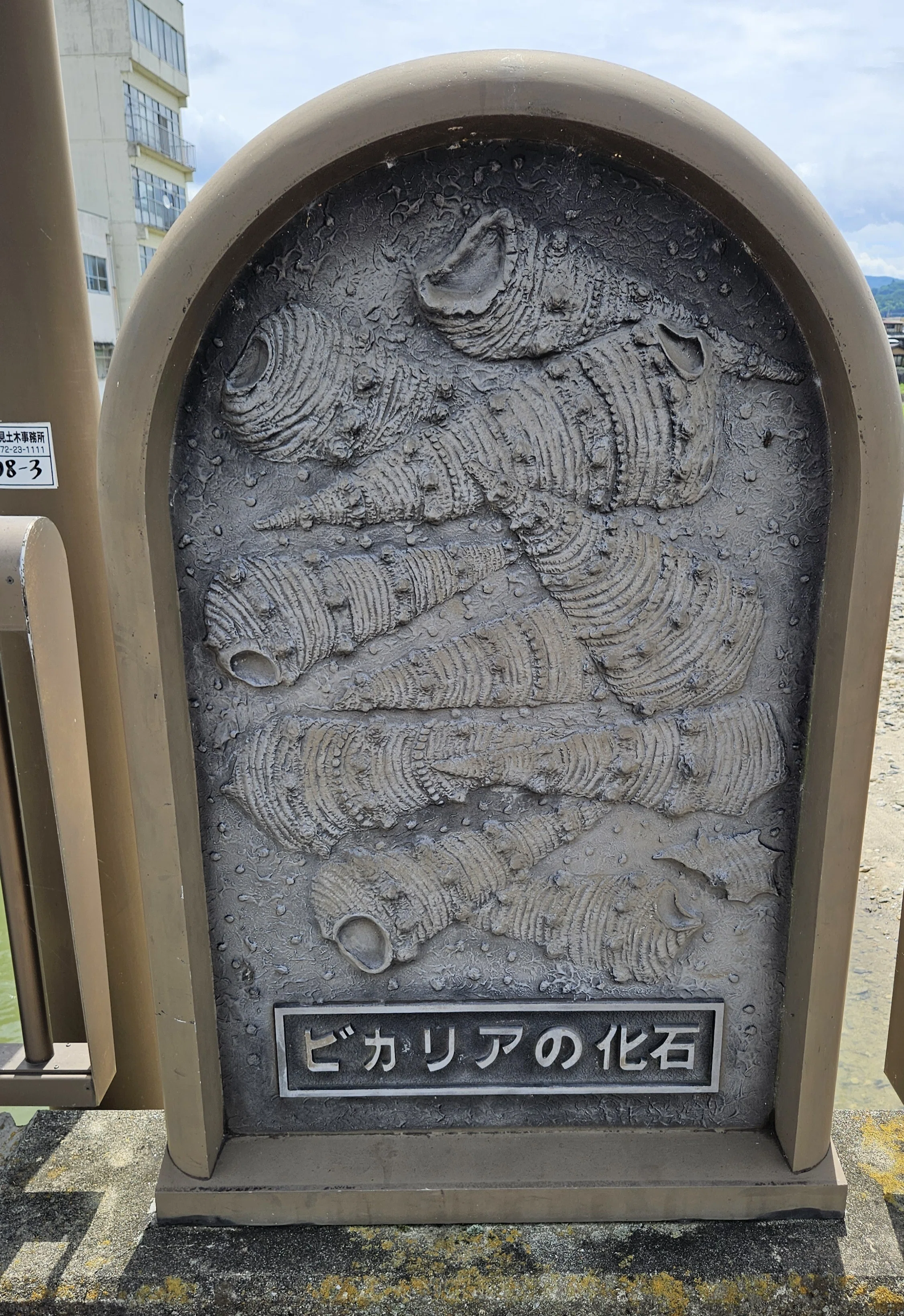 全国自然博物館の旅【49】瑞浪市化石博物館｜美原さつき