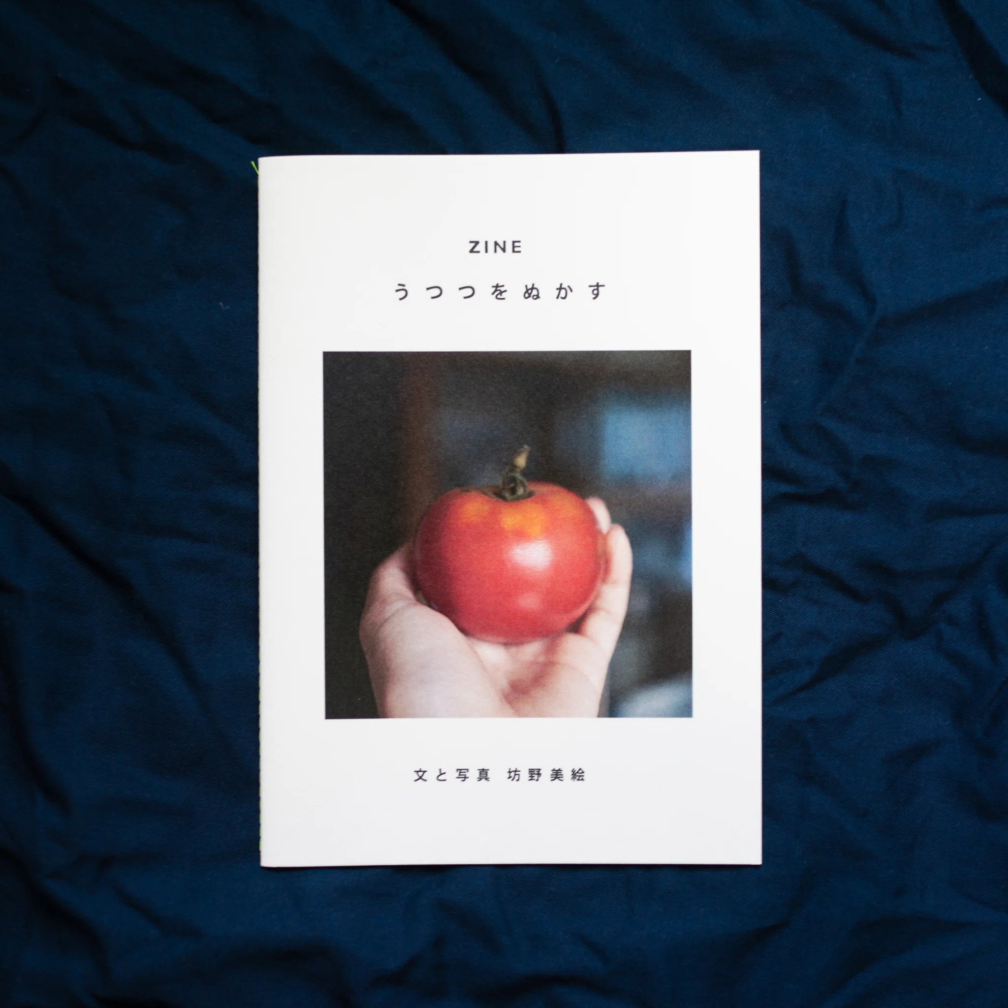 ZINE DAY OSAKA vol.10」で買ったもの報告｜水餃子