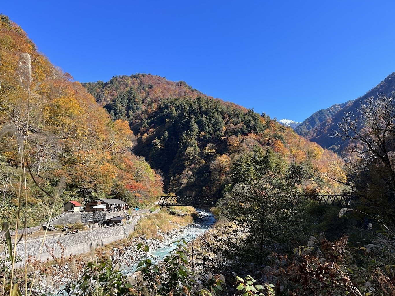 ぽん太の鉄道旅：黒部渓谷鉄道｜赤川ぽん太