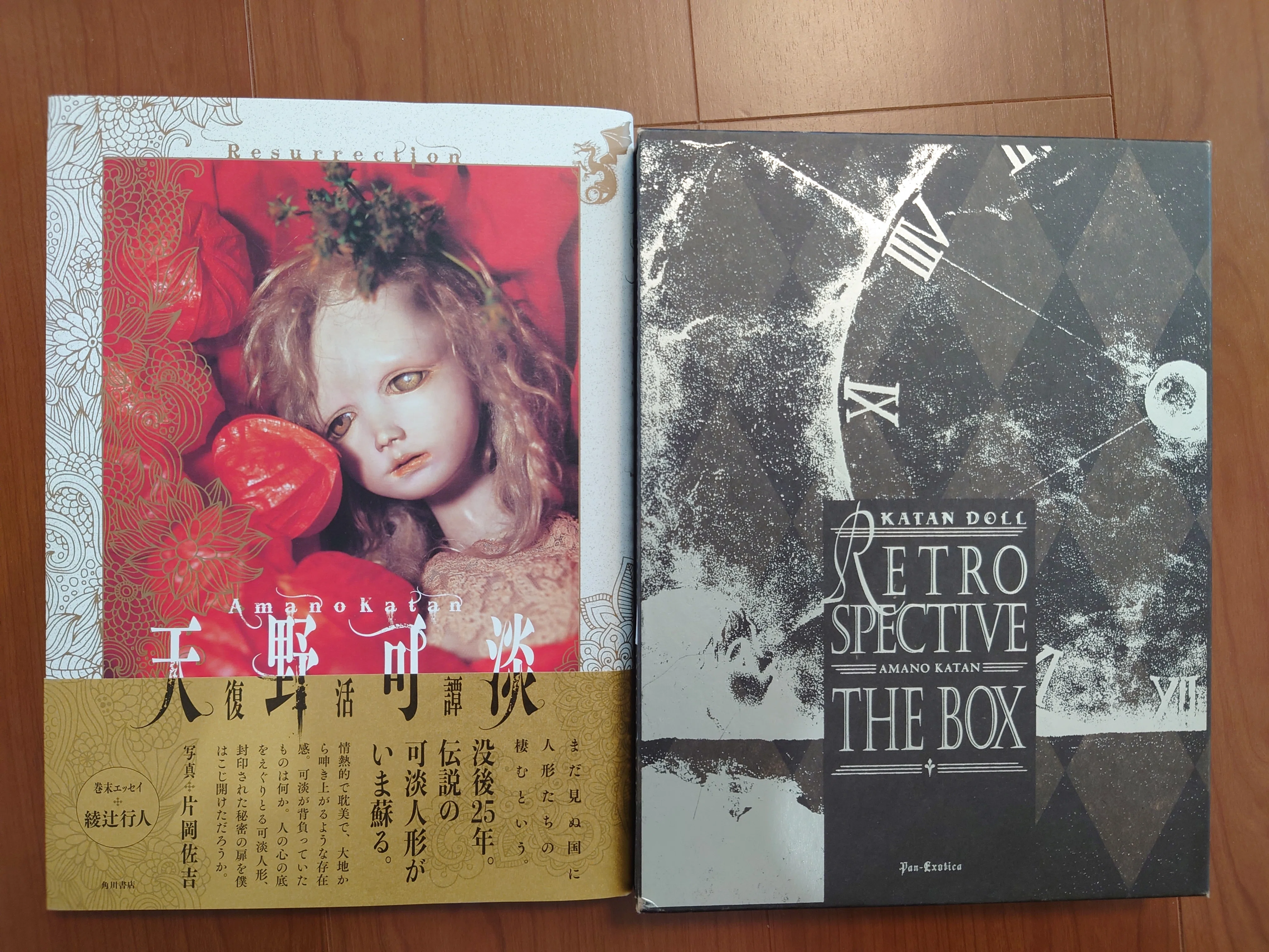 天野可淡復活譚 = Amano Katan Resurrection サイン入り 天野可淡復活譚 = Amano Katan Resurrection KATAN DOLL THE BOX（特別