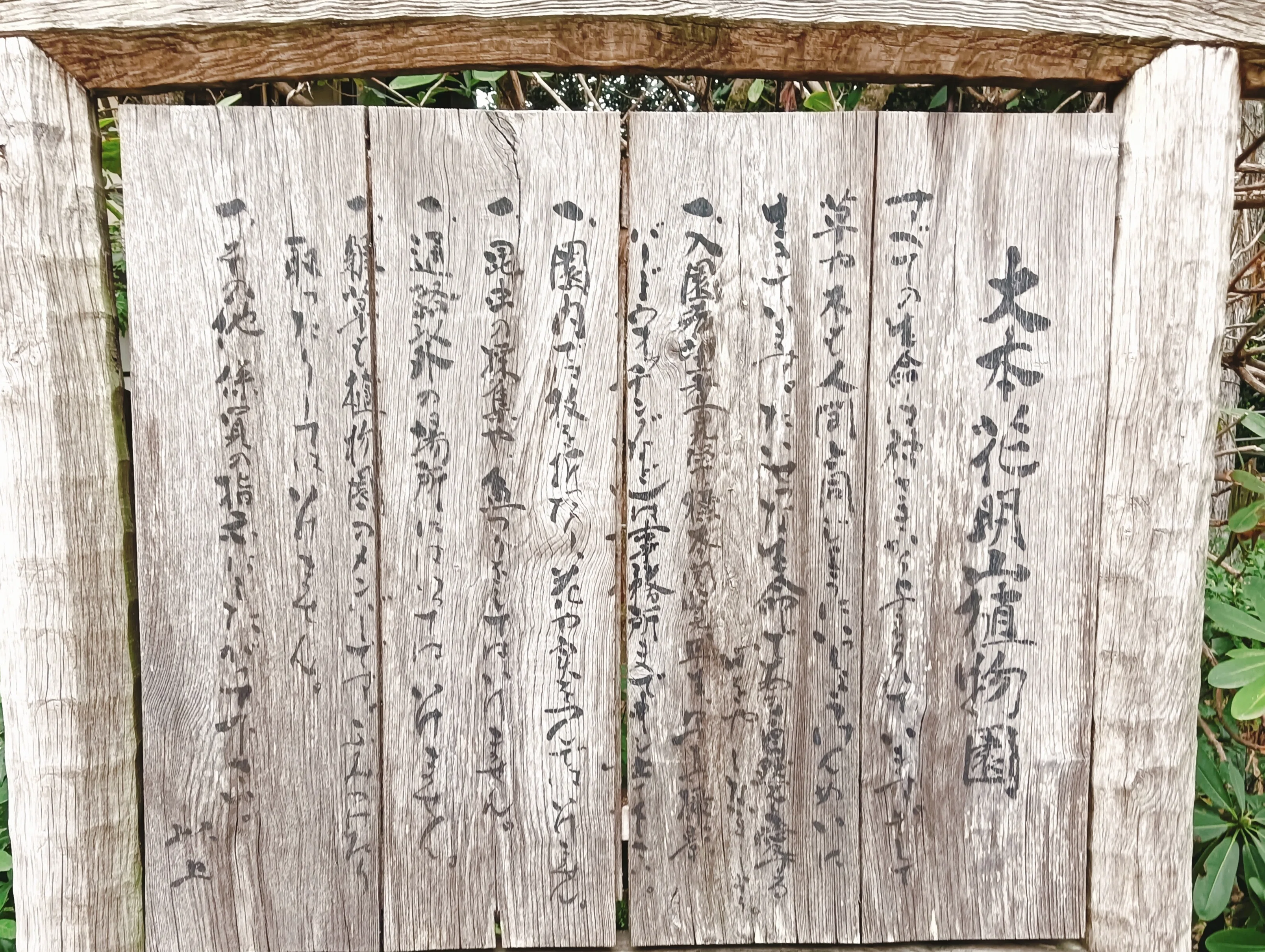 丹波亀山城址に行ってきた②/かめやき｜ゆり