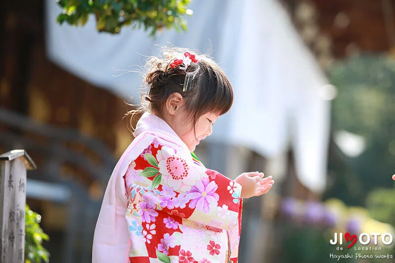 大神神社の七五三出張撮影