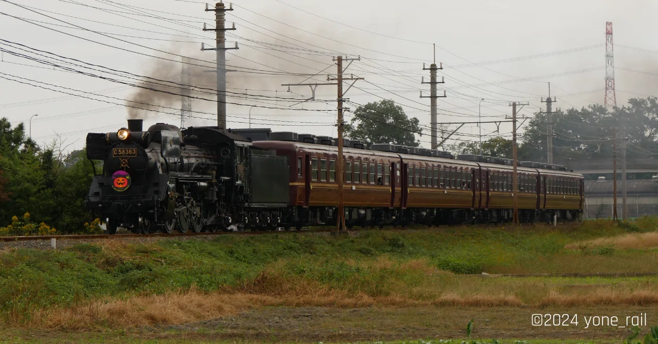 秩父鉄道SL HALLOWEEN EXPRESS｜yone