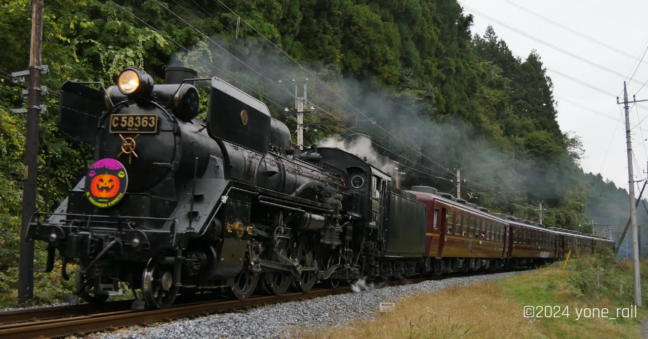 秩父鉄道SL HALLOWEEN EXPRESS｜yone