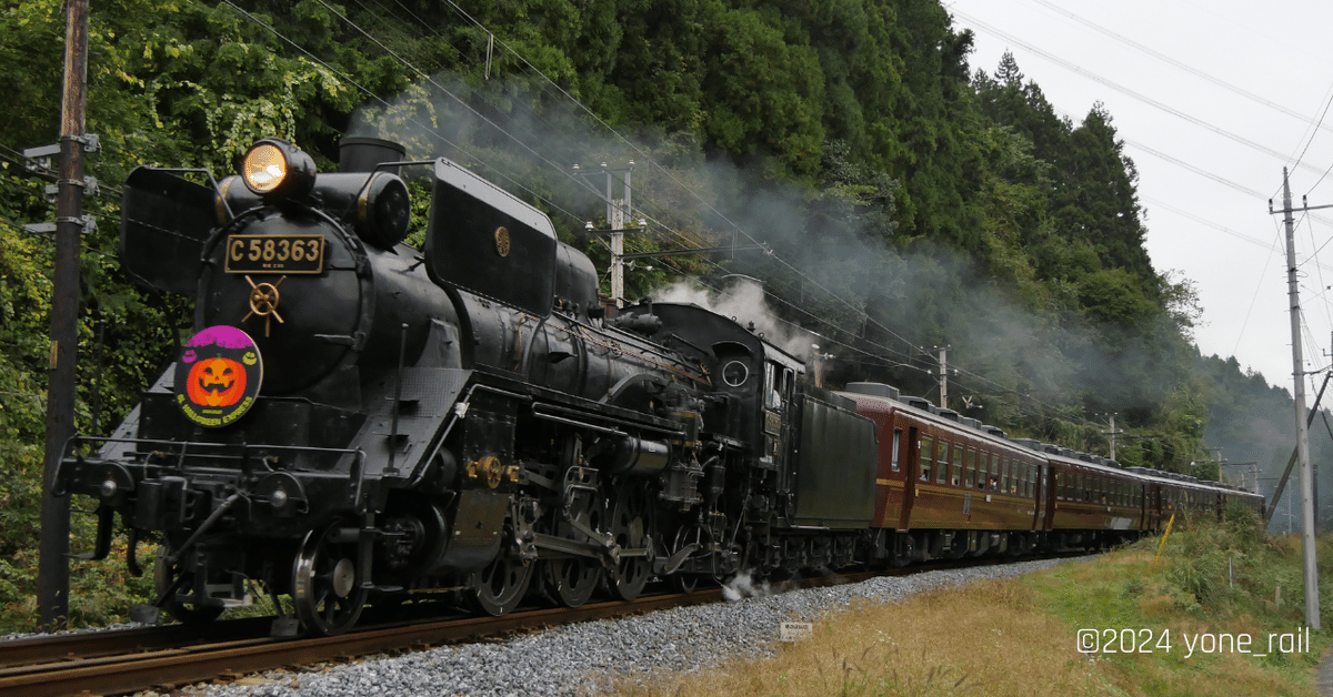 【鉄道部品】秩父鉄道123年 SL historyExpress ヘッドマーク 秩父鉄道