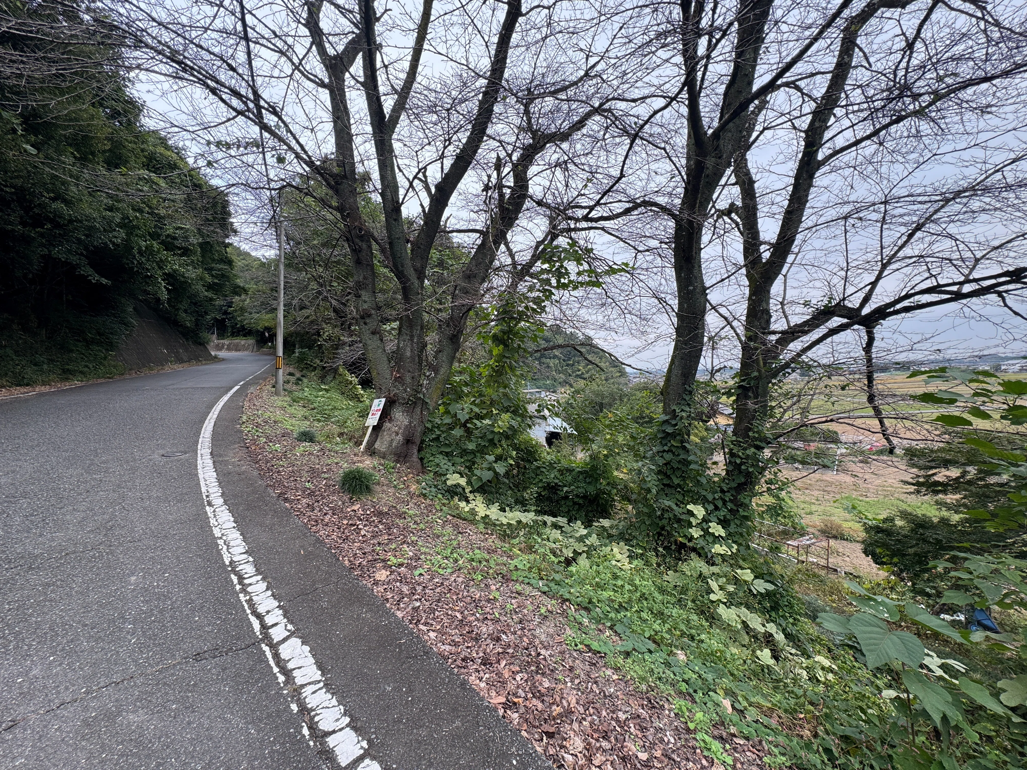 鎌倉街道 上道を走る 藤岡～高崎（ゴール）｜dash2