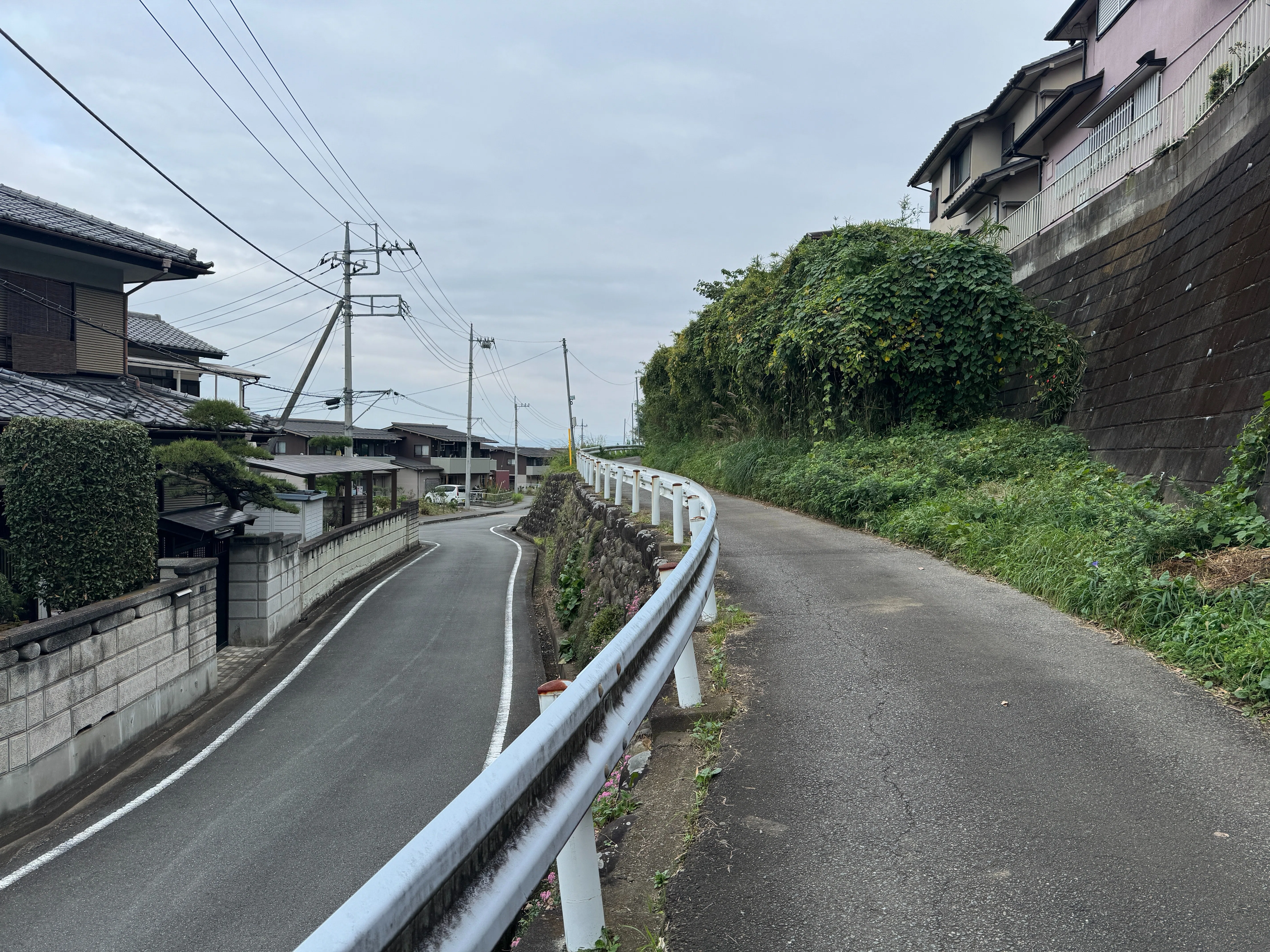 鎌倉街道 上道を走る 藤岡～高崎（ゴール）｜dash2