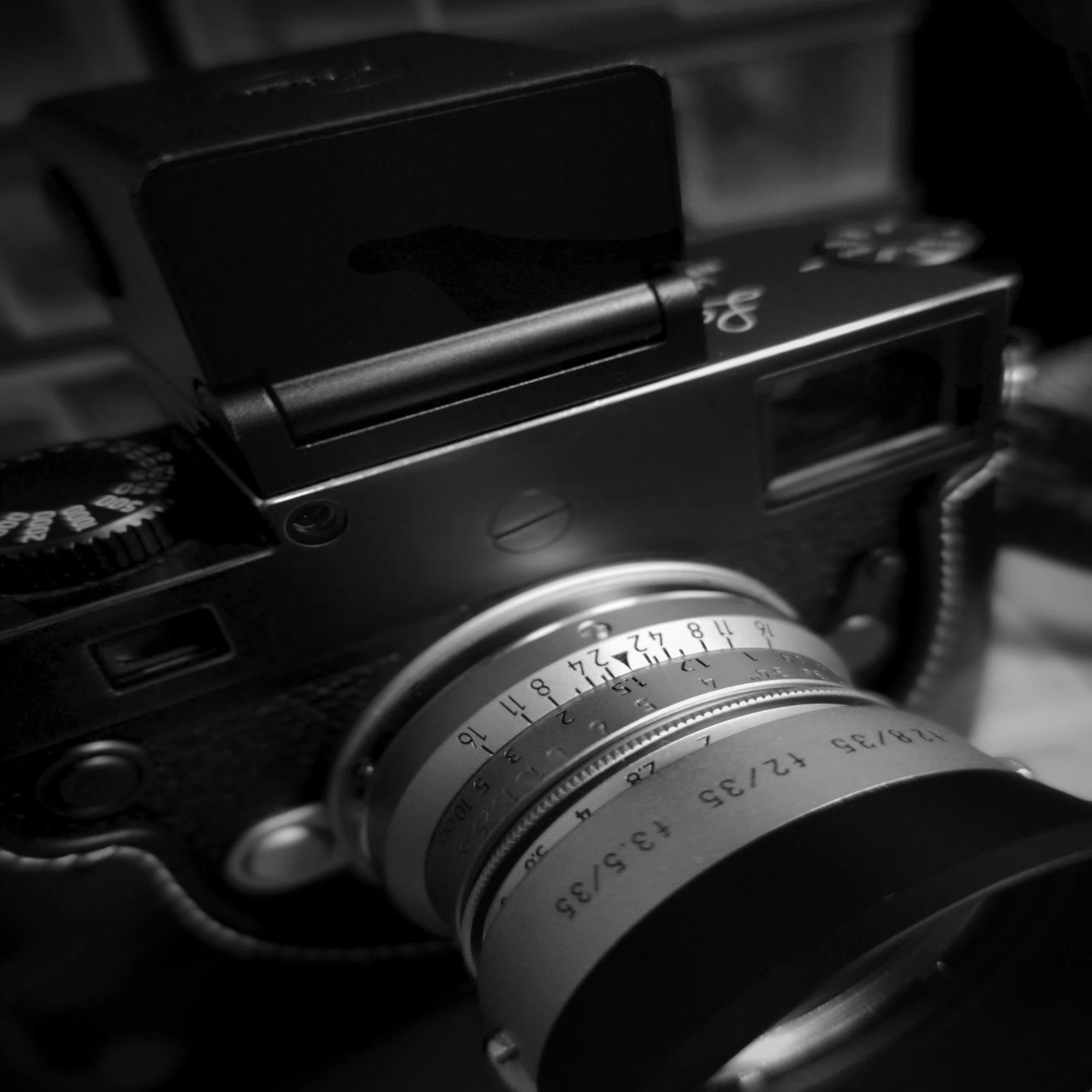 Leica ビゾフレックス2｜Swan High 1114