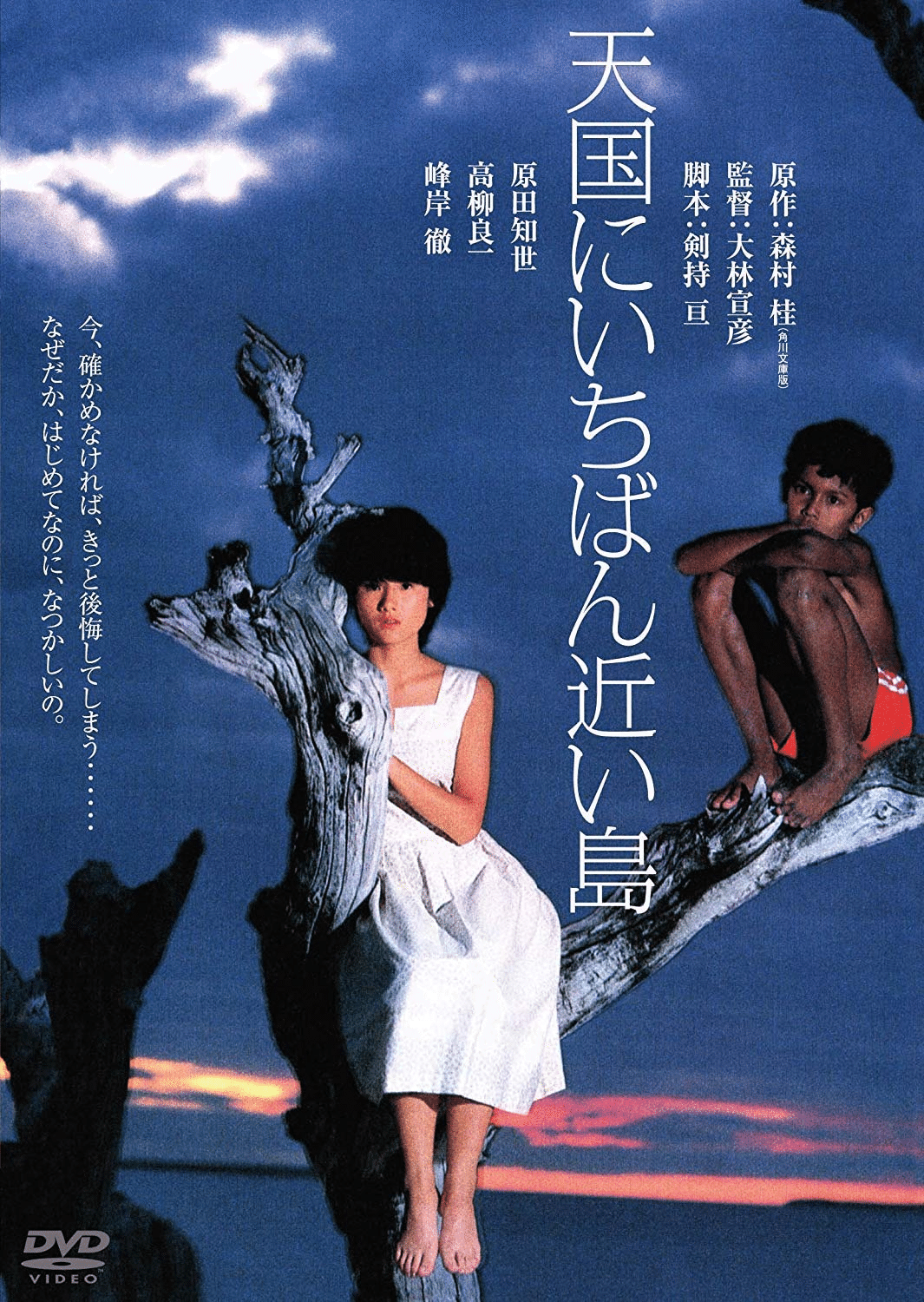 1984年「天国に一番近い島」|さちのか 1984年「天国に一番近い島」|さちのか