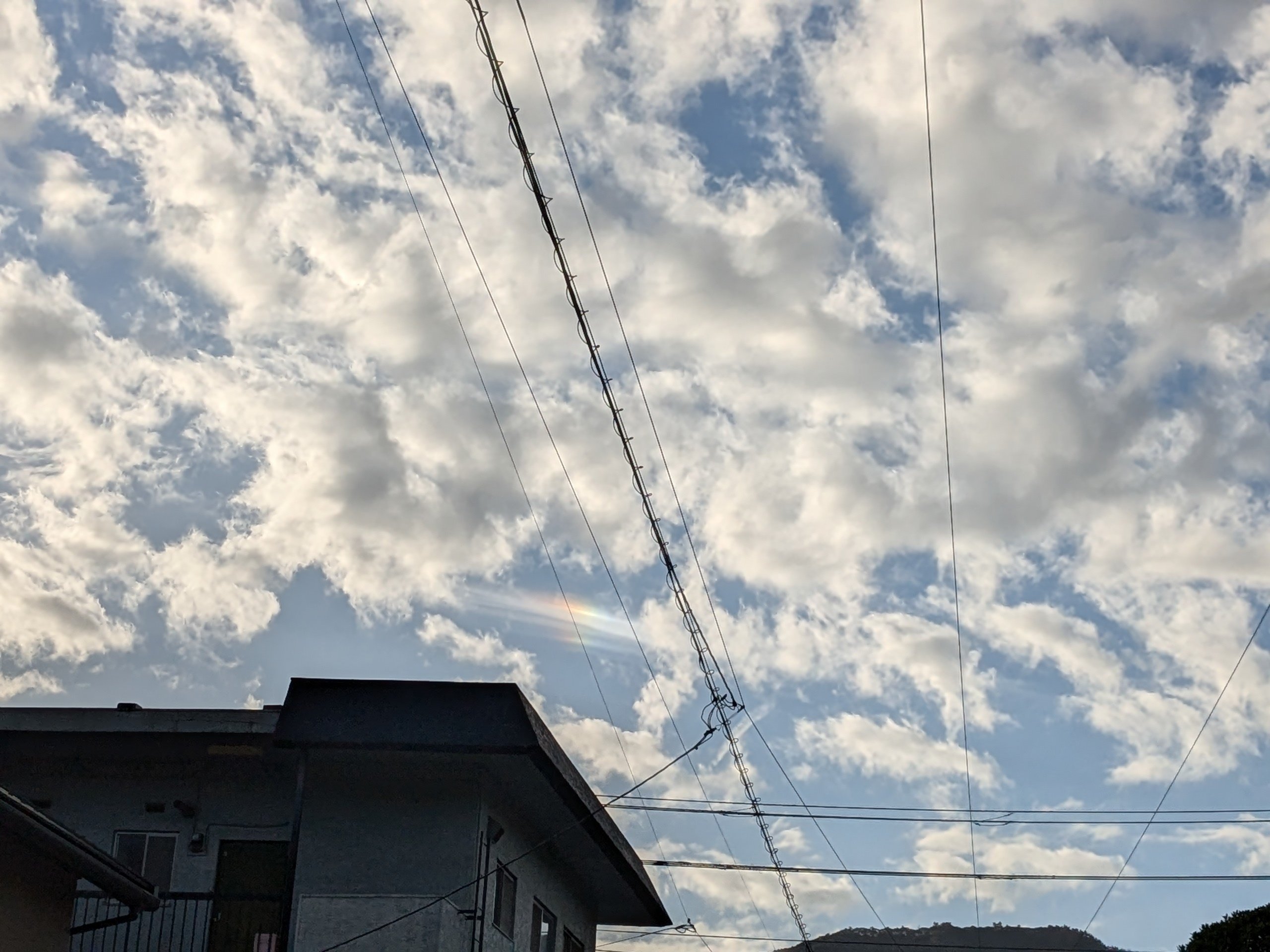 彩雲、みぃつけた｜水上伊織