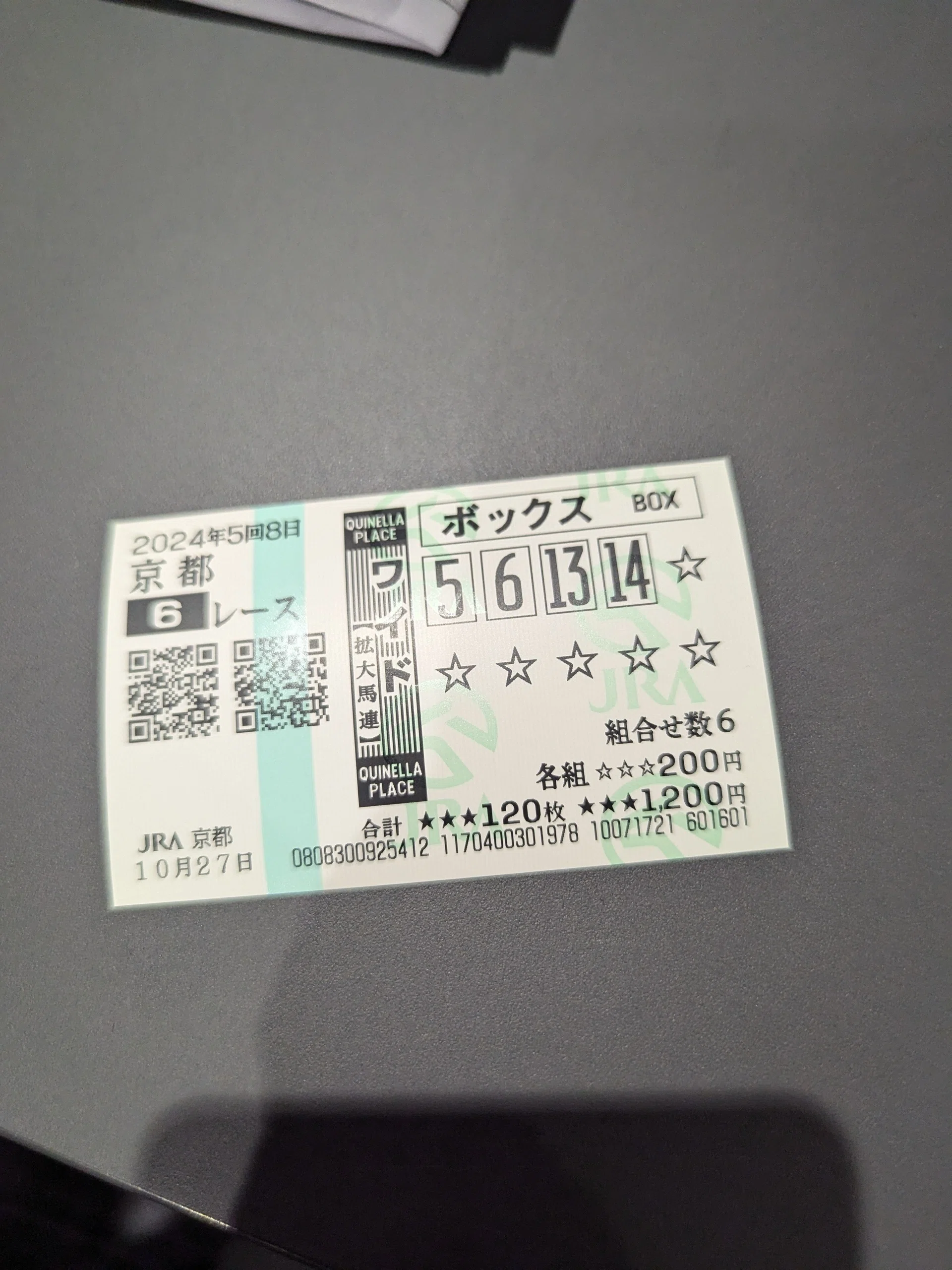 人生で初めて競馬を本気でやってみた話in京都競馬場｜やうぎ＠診断士