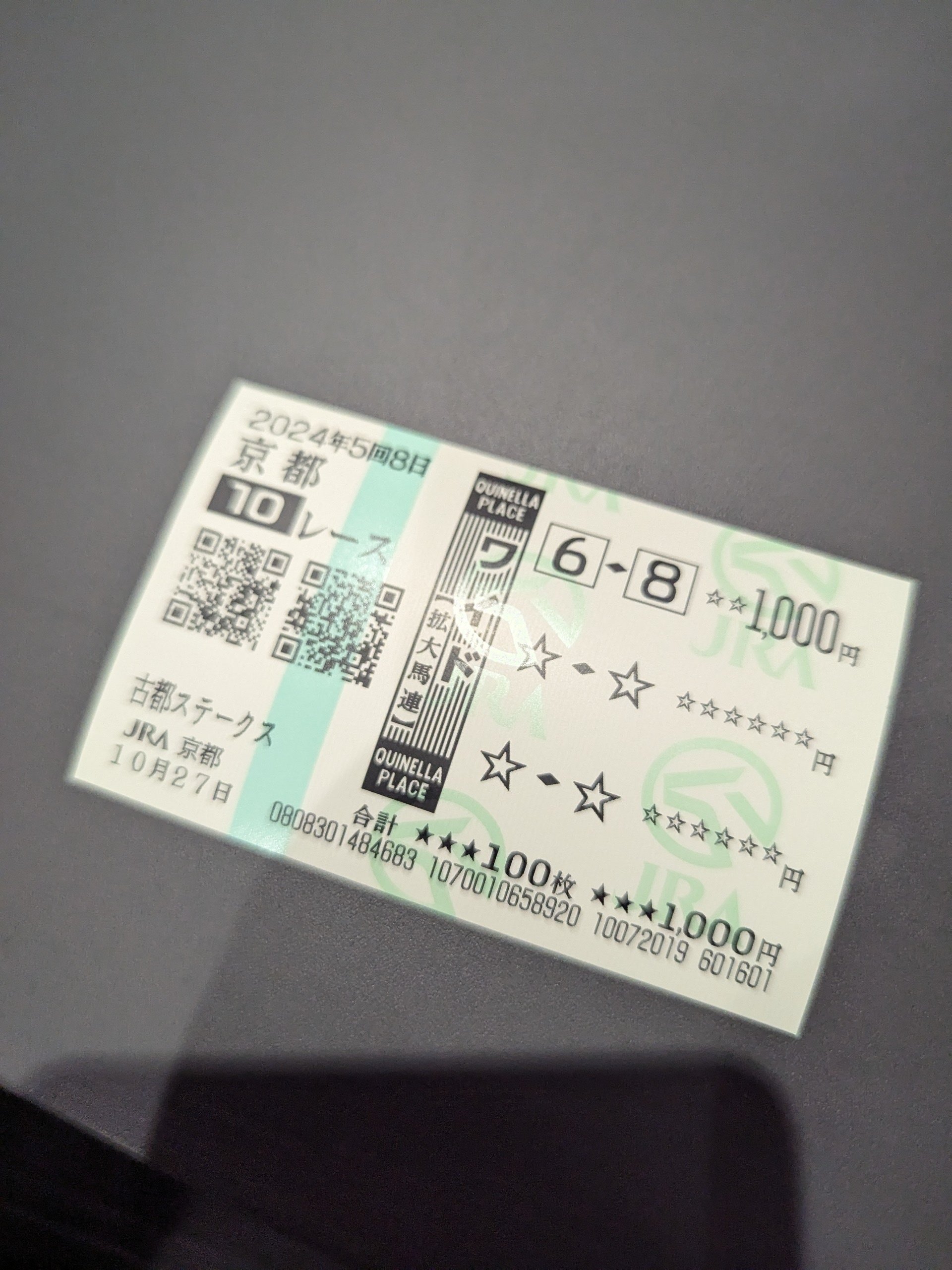 人生で初めて競馬を本気でやってみた話in京都競馬場｜やうぎ＠診断士