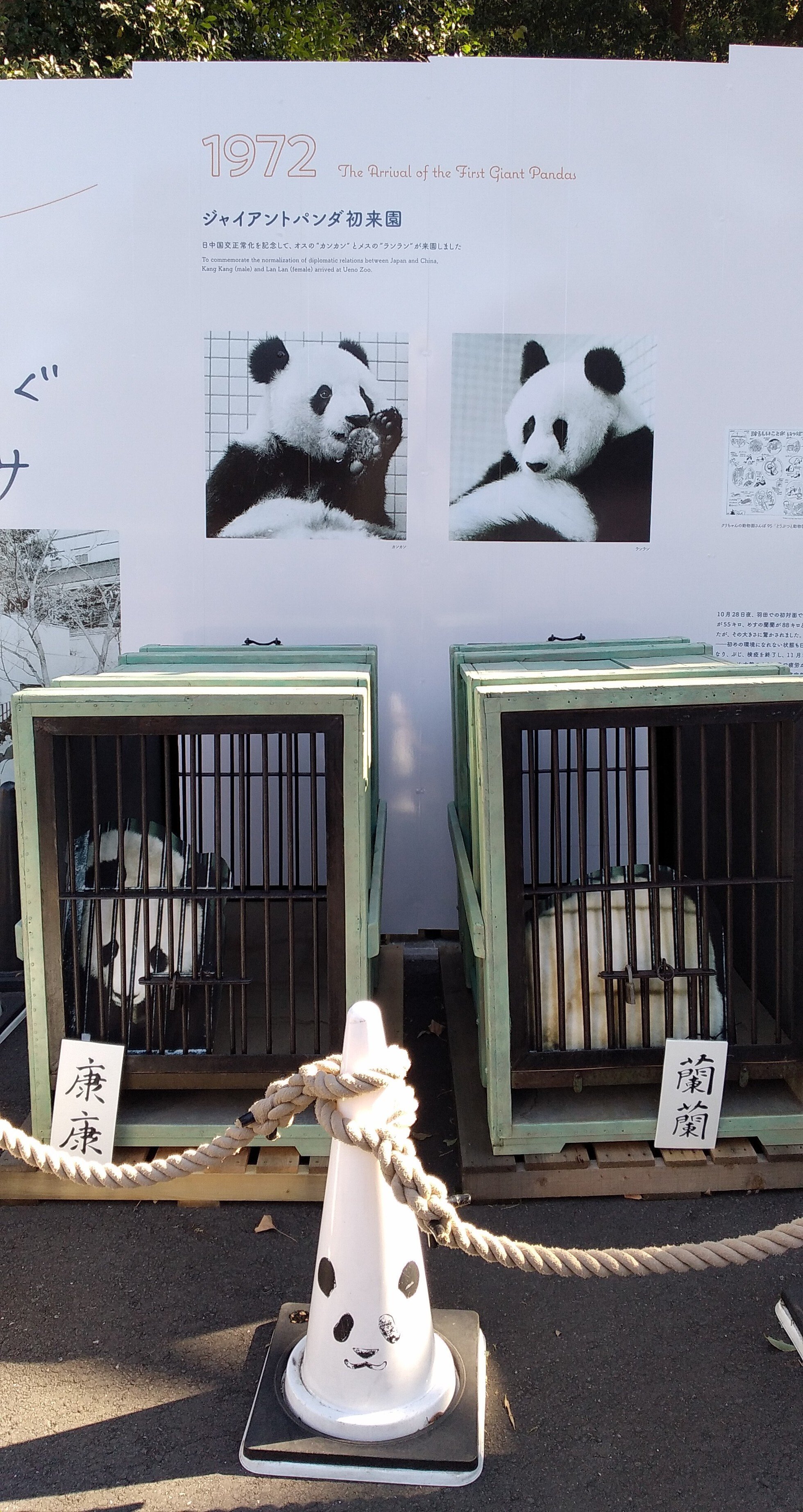 ジャイアントパンダカンカン(康康) パネル写真 【パンダ来日50年】歓迎