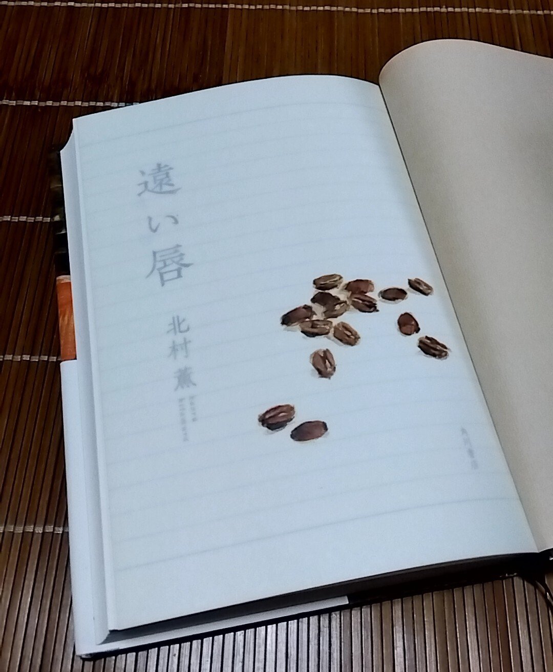 真作/入江隈登/俳句/引潮のに飛石鳥雲に/布袋屋掛軸HF-598 真作/池田興雲/渓流水鳥図/布袋屋掛軸HJ-304 - メルカリ