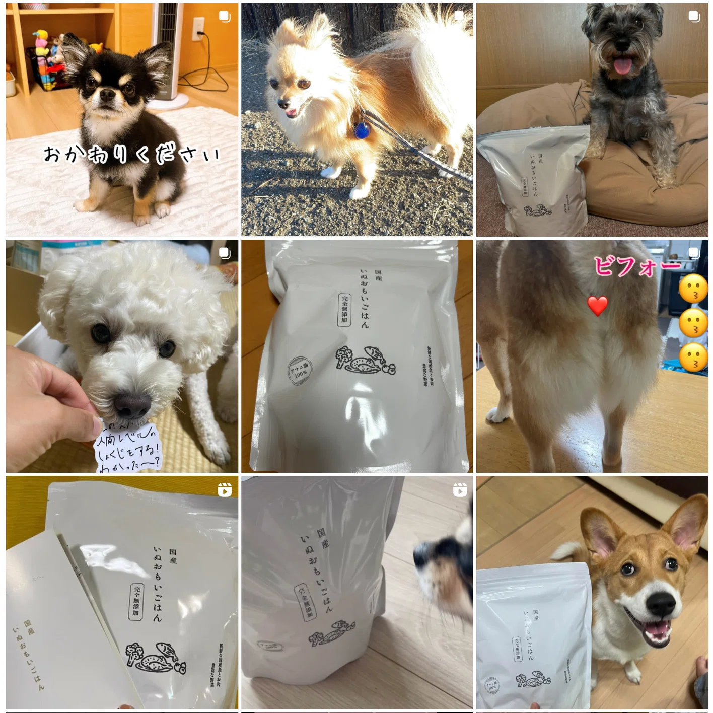 いぬおもいごはん | 口コミ / 解約方法や悪い評判について｜犬好き