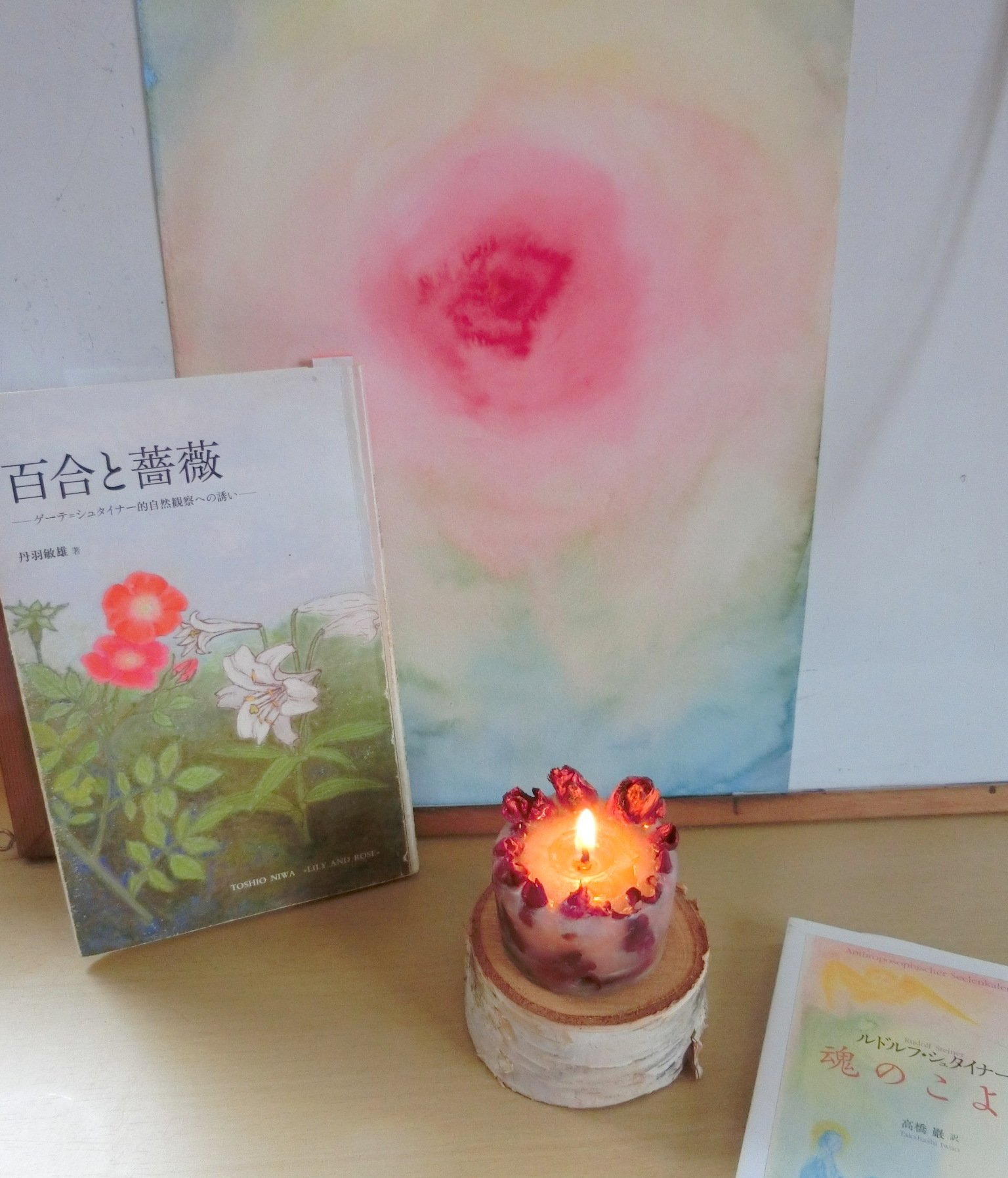 植物との対話 ゲーテシュタイナー的植物観察入門＠裏磐梯合宿2024を