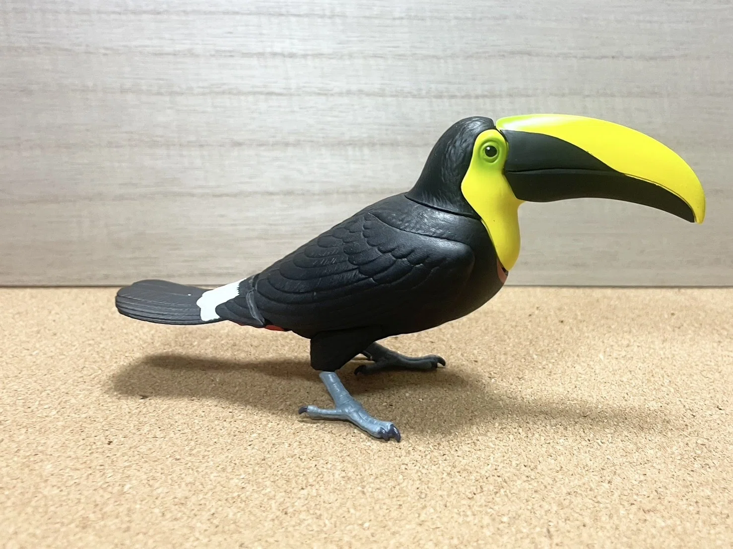 オニオオハシGETしました！｜汐夏(shioka)