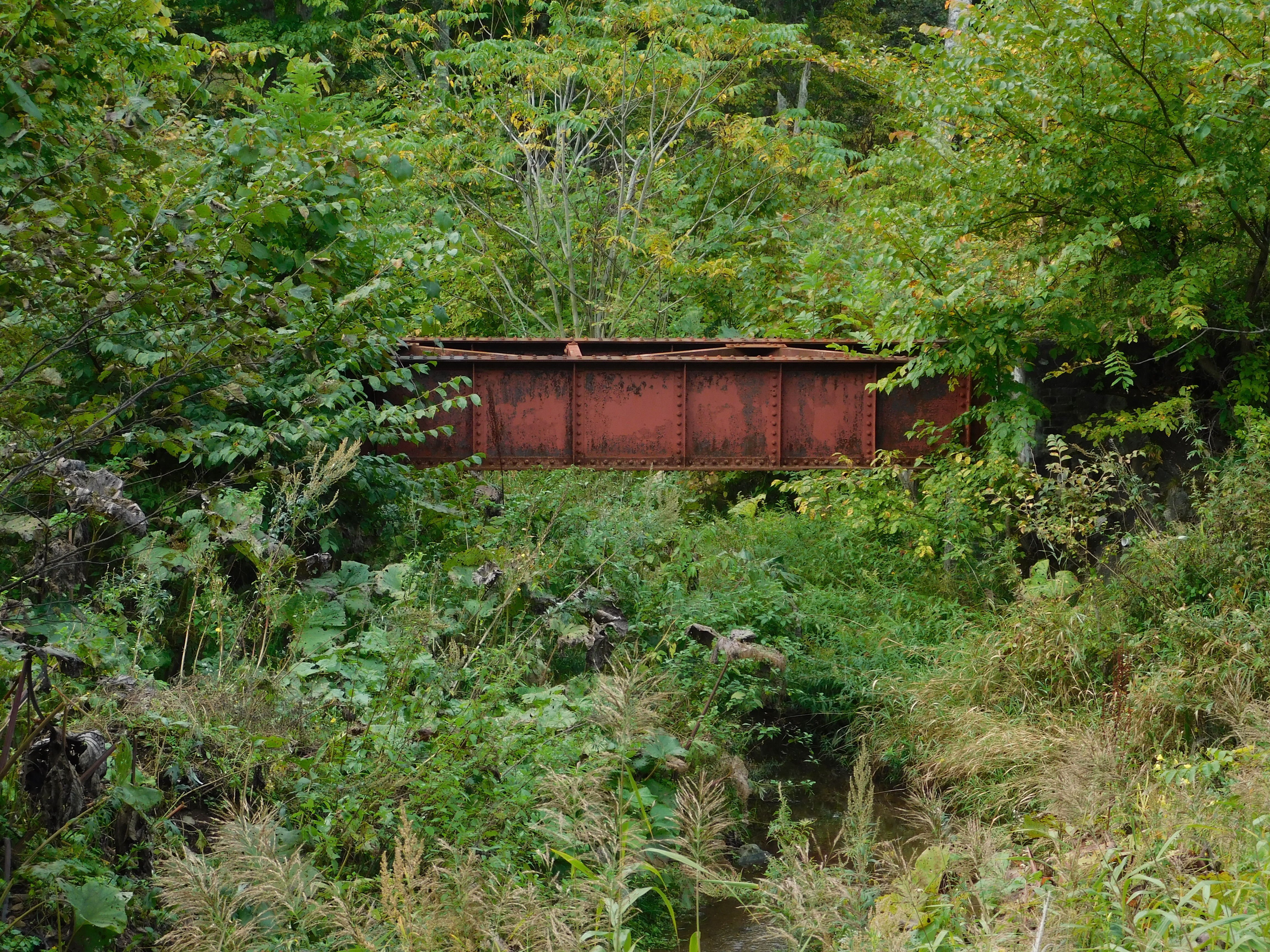 北海道の廃線跡探訪 第86回 池北線(北海道ちほく高原鉄道ふるさと銀河